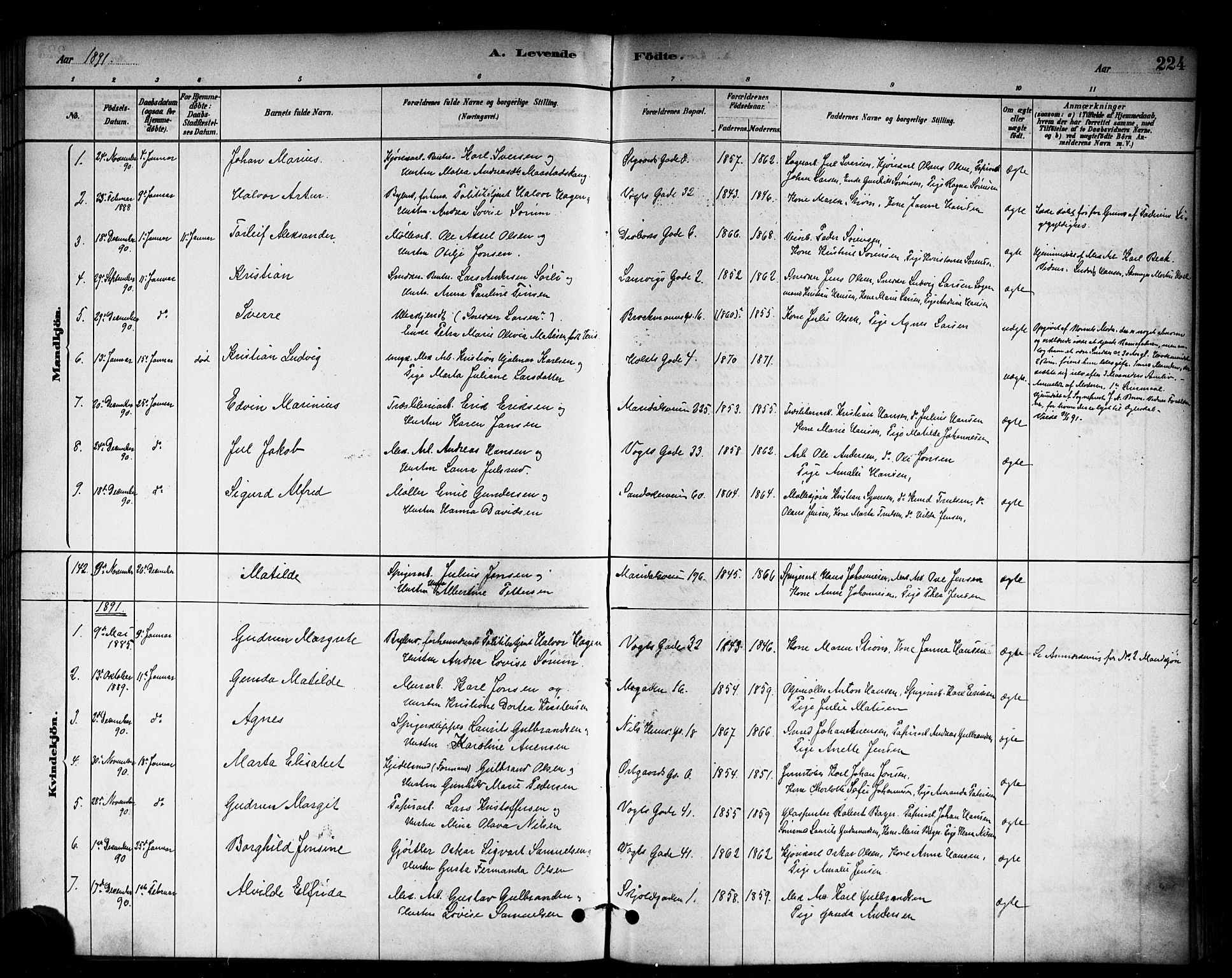 Sagene prestekontor Kirkebøker, SAO/A-10796/G/L0001: Parish register (copy) no. 1, 1880-1891, p. 224