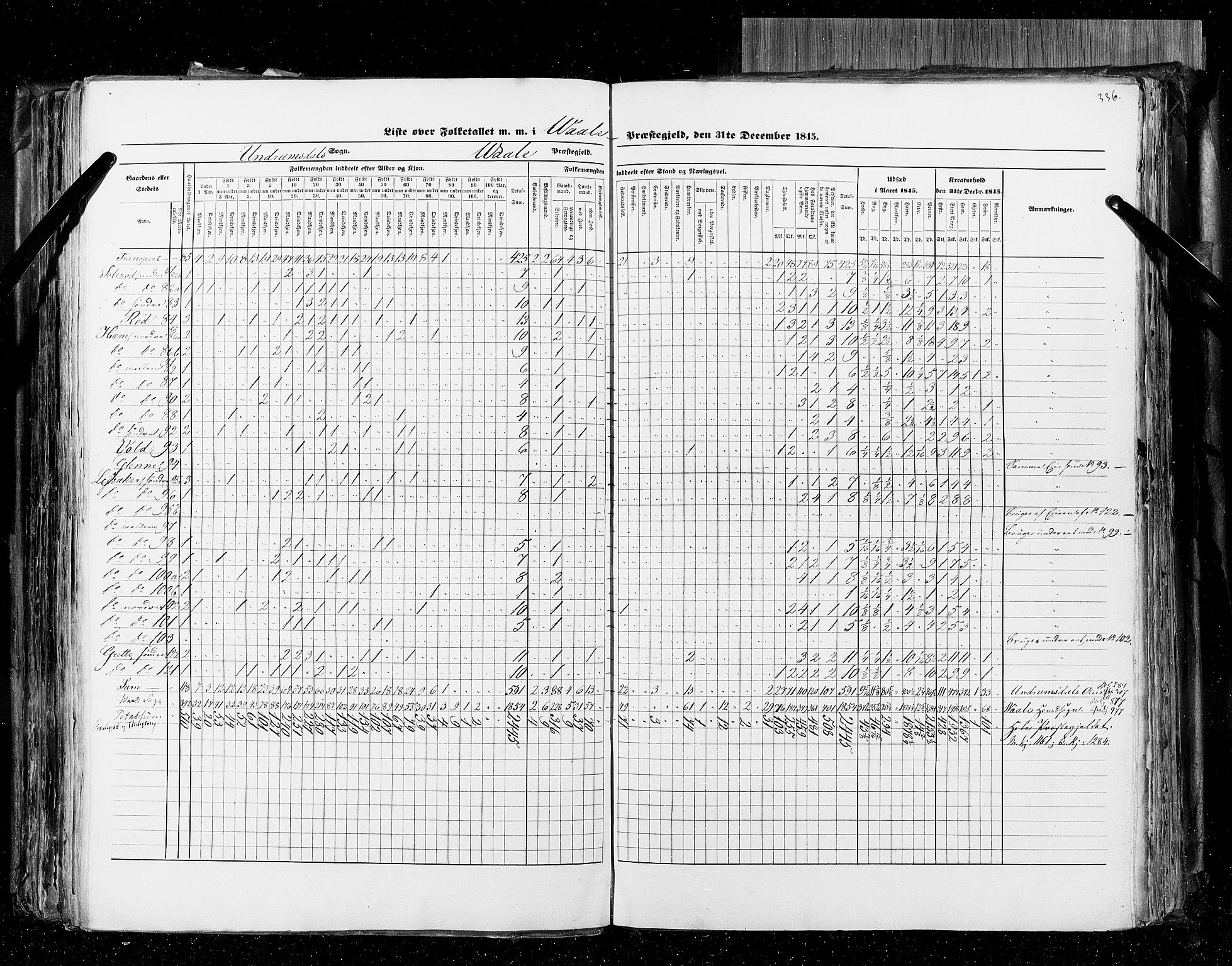 RA, Census 1845, vol. 4: Buskerud amt og Jarlsberg og Larvik amt, 1845, p. 336