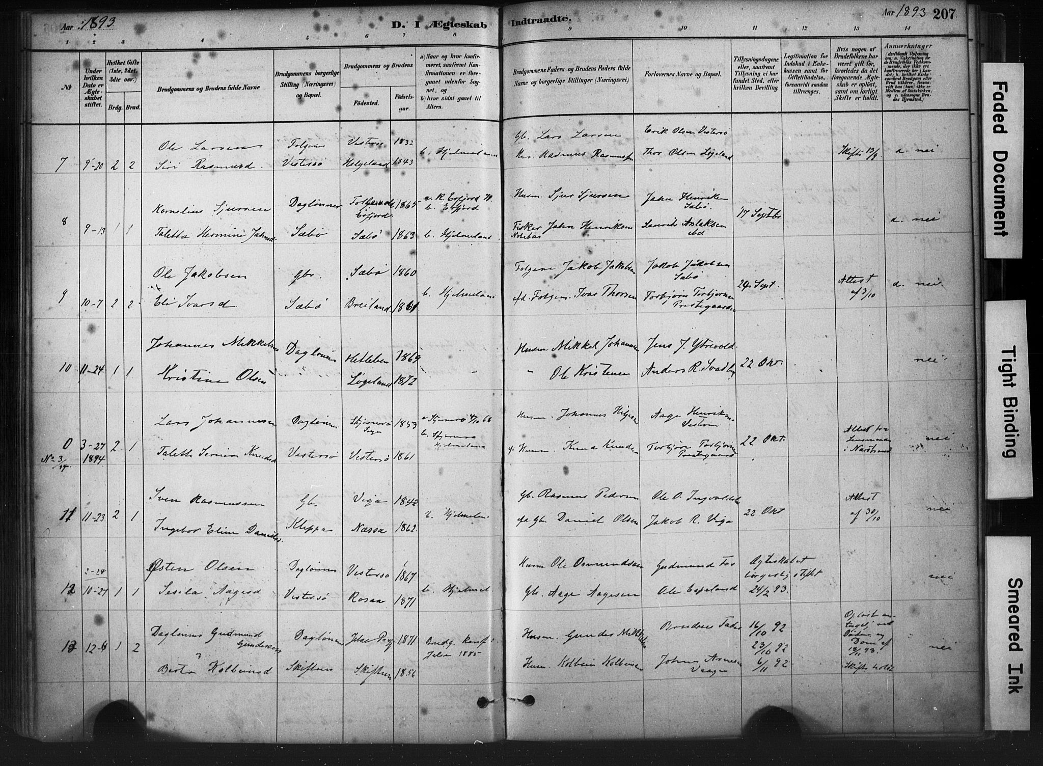 Hjelmeland sokneprestkontor, SAST/A-101843/01/IV/L0014: Parish register (official) no. A 14, 1879-1900, p. 207