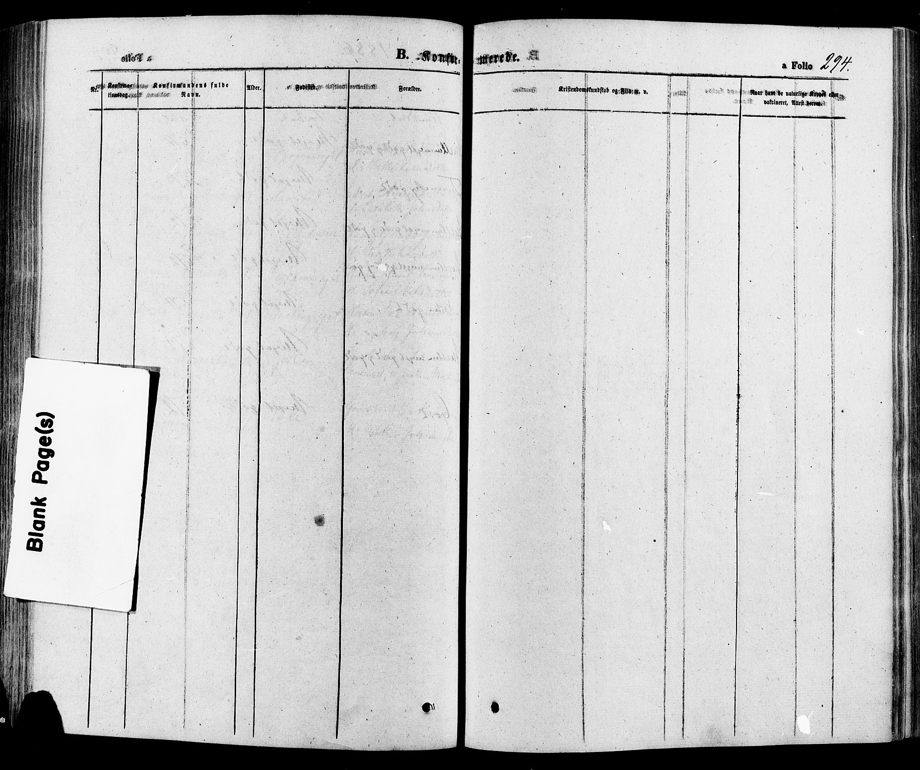 Gausdal prestekontor, SAH/PREST-090/H/Ha/Haa/L0010: Parish register (official) no. 10, 1867-1886, p. 294
