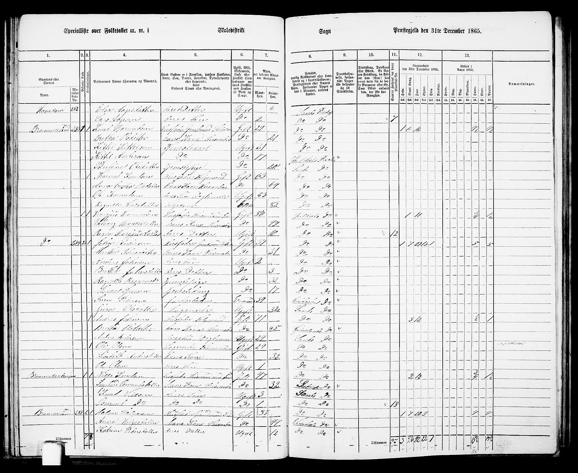 RA, 1865 census for Sand, 1865, p. 37