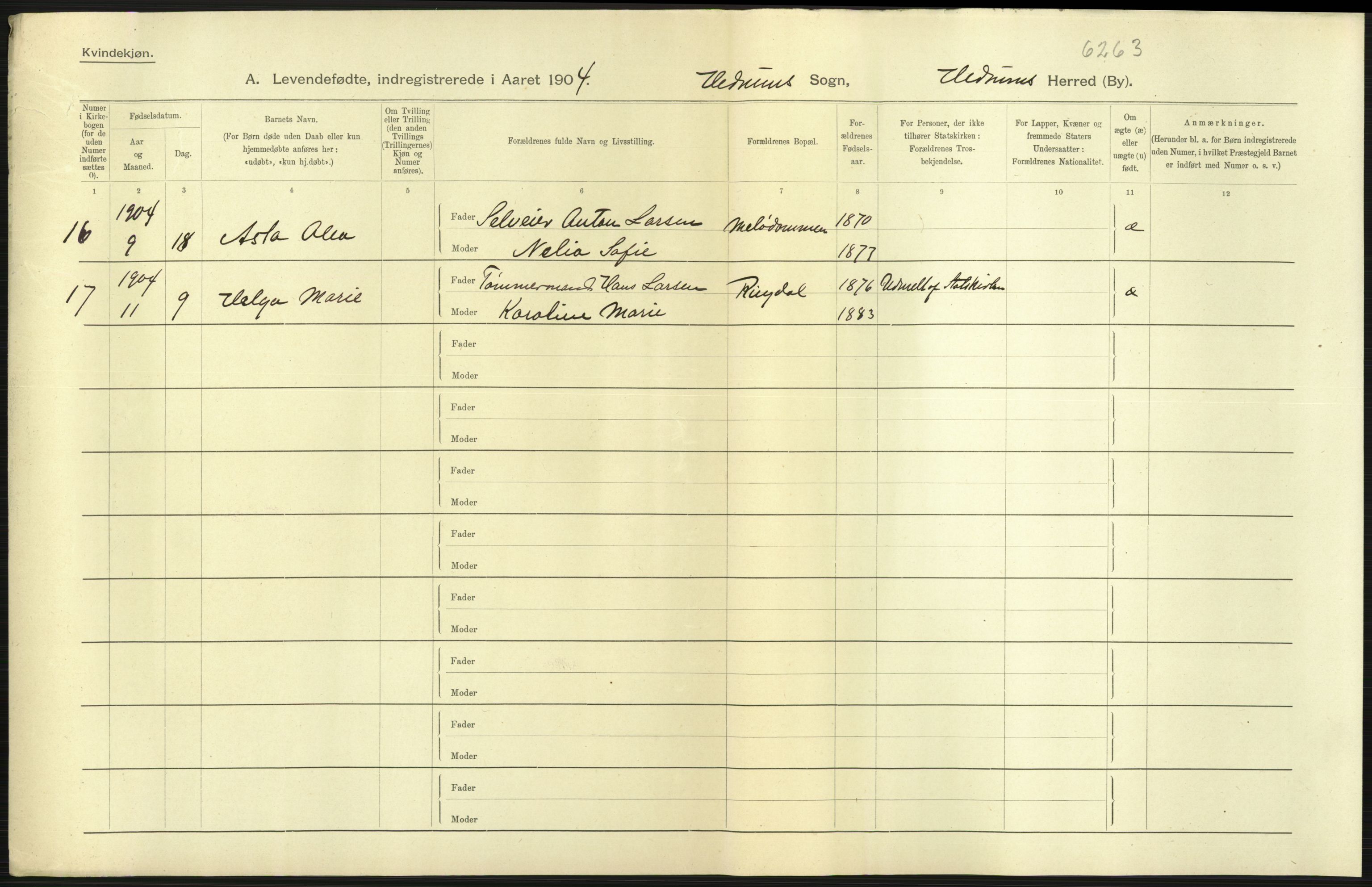 Statistisk sentralbyrå, Sosiodemografiske emner, Befolkning, AV/RA-S-2228/D/Df/Dfa/Dfab/L0008: Jarlsberg og Larvig amt: Fødte, gifte, døde, 1904, p. 17