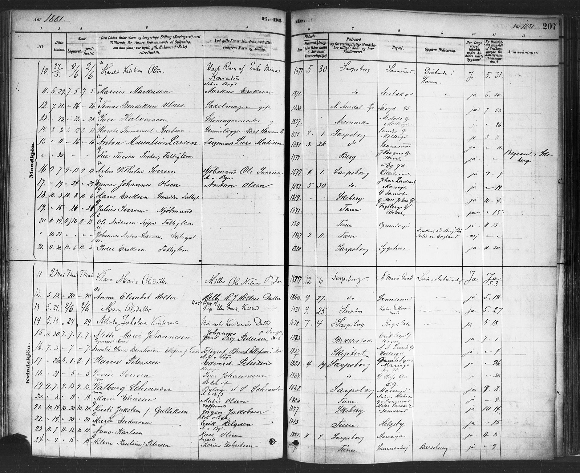 Sarpsborg prestekontor Kirkebøker, AV/SAO-A-2006/F/Fa/L0003: Parish register (official) no. 3, 1878-1891, p. 207