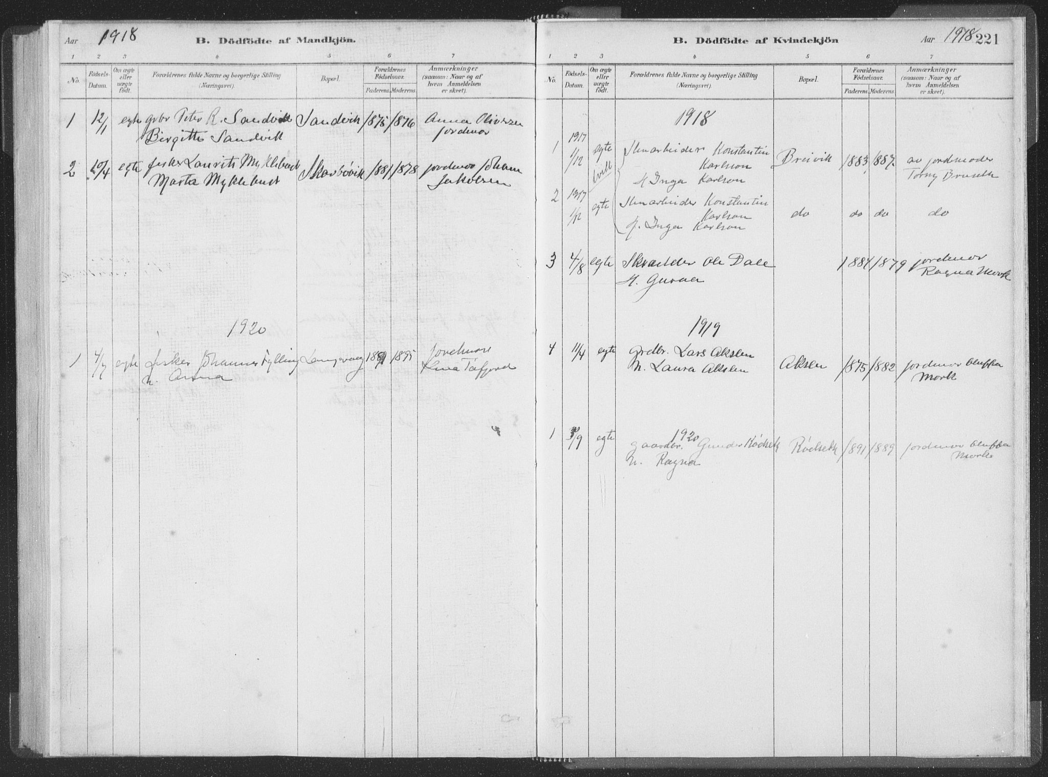 Ministerialprotokoller, klokkerbøker og fødselsregistre - Møre og Romsdal, AV/SAT-A-1454/528/L0401: Parish register (official) no. 528A12I, 1880-1920, p. 221