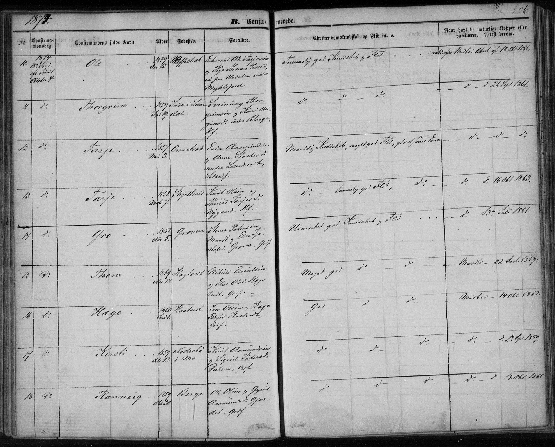 Lårdal kirkebøker, SAKO/A-284/F/Fa/L0006: Parish register (official) no. I 6, 1861-1886, p. 206