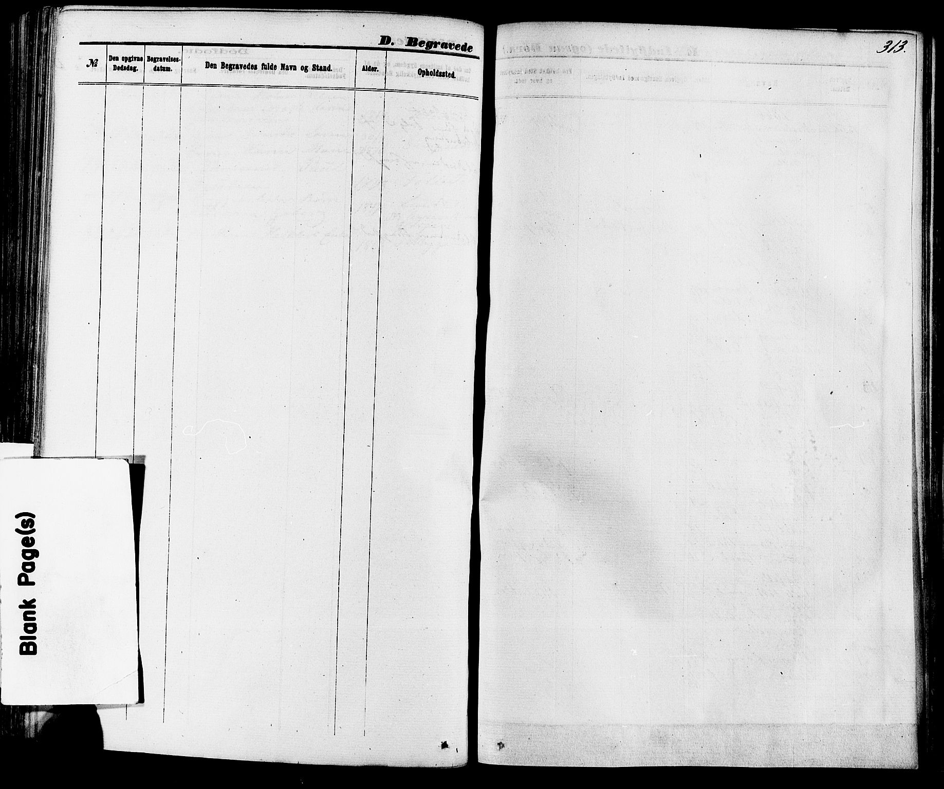 Skien kirkebøker, SAKO/A-302/F/Fa/L0008: Parish register (official) no. 8, 1866-1877, p. 313