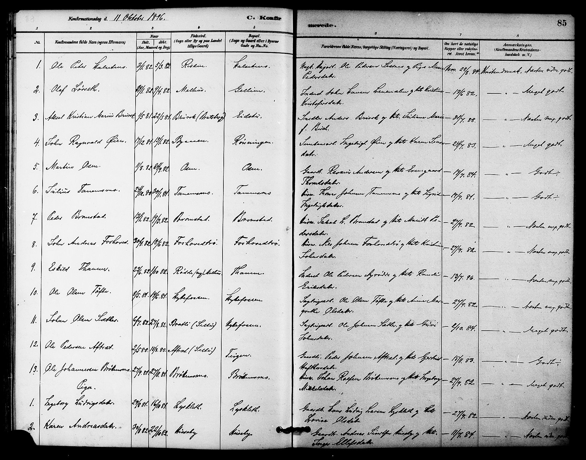 Ministerialprotokoller, klokkerbøker og fødselsregistre - Sør-Trøndelag, AV/SAT-A-1456/618/L0444: Parish register (official) no. 618A07, 1880-1898, p. 85