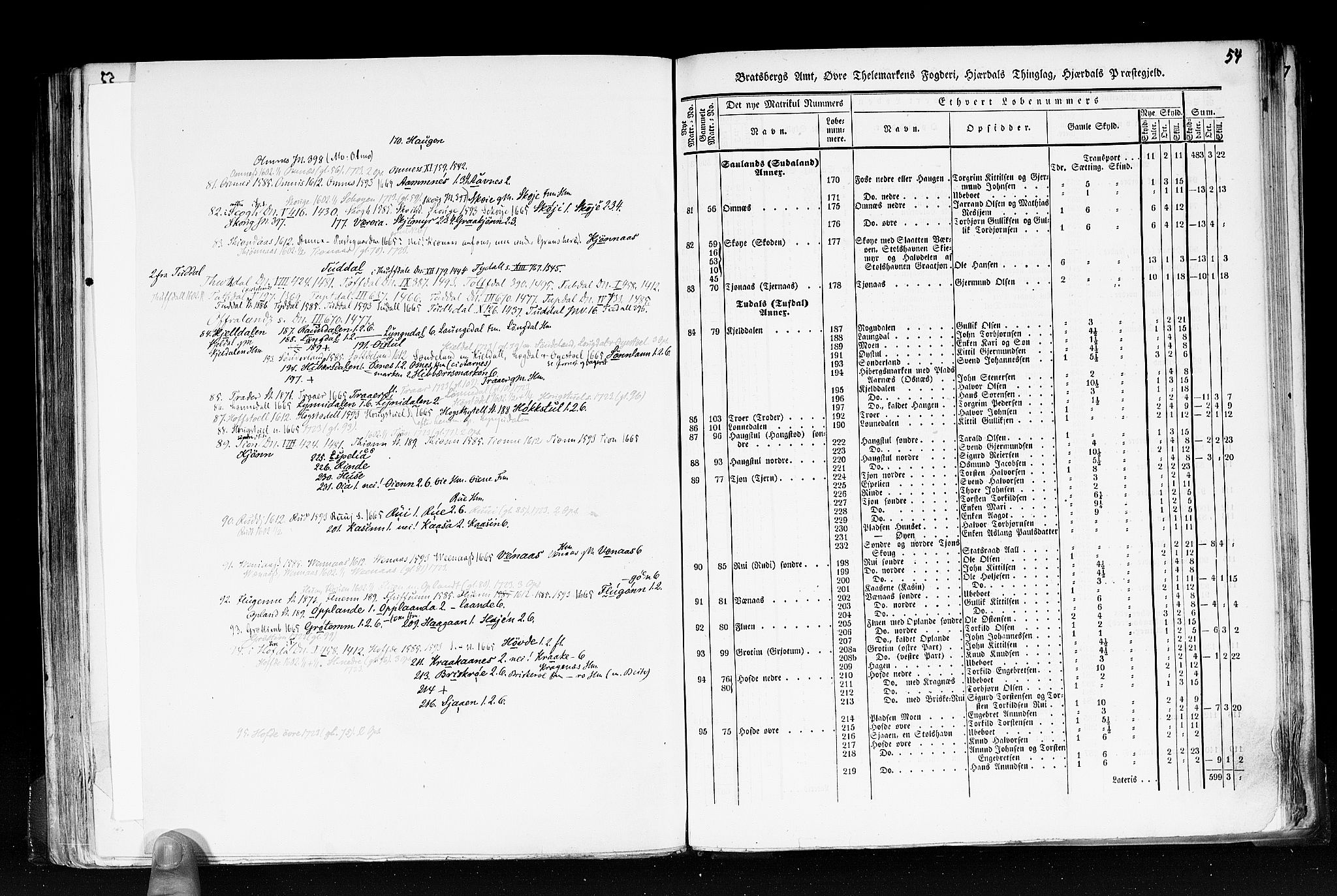 Rygh, RA/PA-0034/F/Fb/L0007: Matrikkelen for 1838 - Bratsberg amt (Telemark fylke), 1838, p. 54a