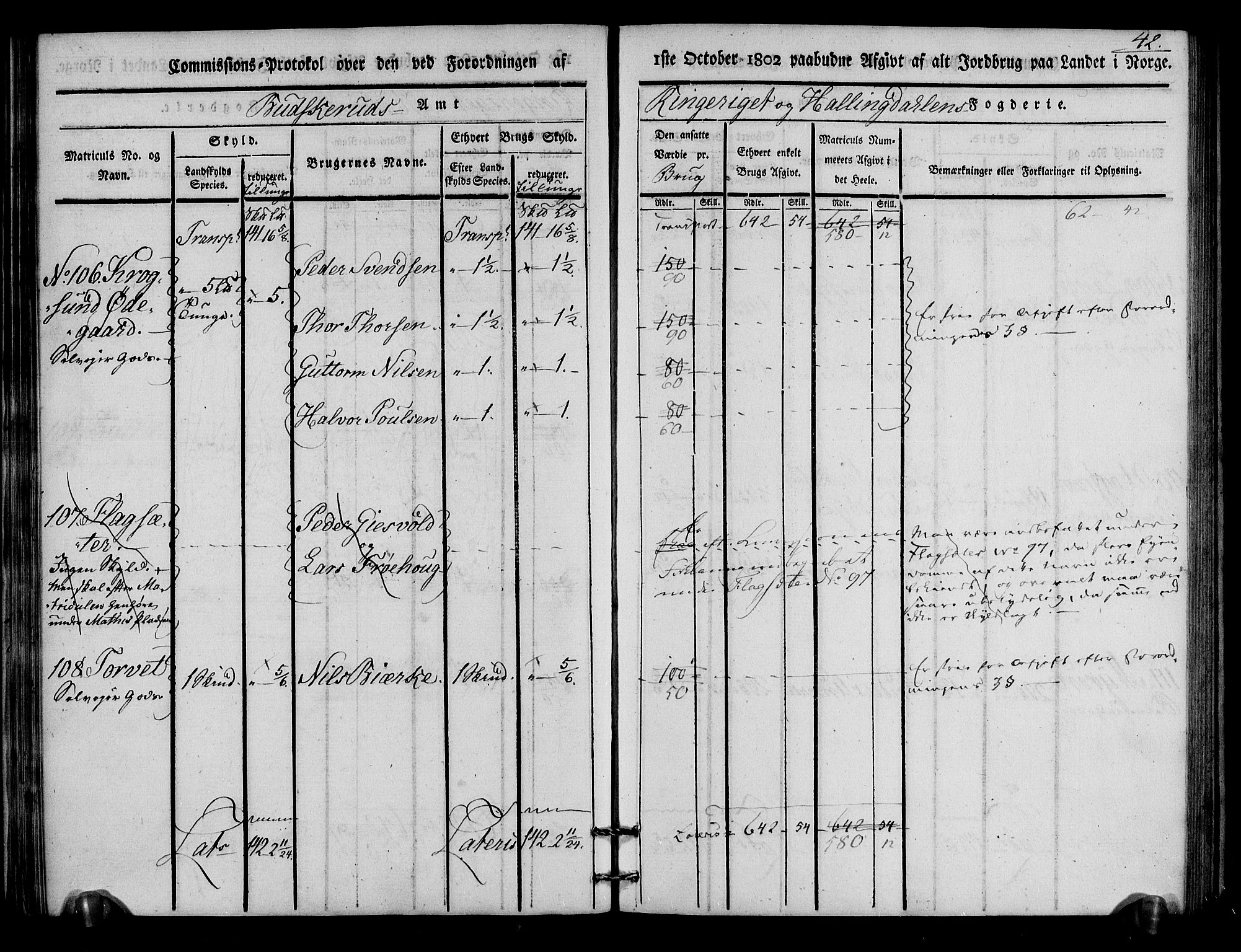 Rentekammeret inntil 1814, Realistisk ordnet avdeling, AV/RA-EA-4070/N/Ne/Nea/L0046: Ringerike og Hallingdal fogderi. Kommisjonsprotokoll for Hole prestegjeld, 1803, p. 43