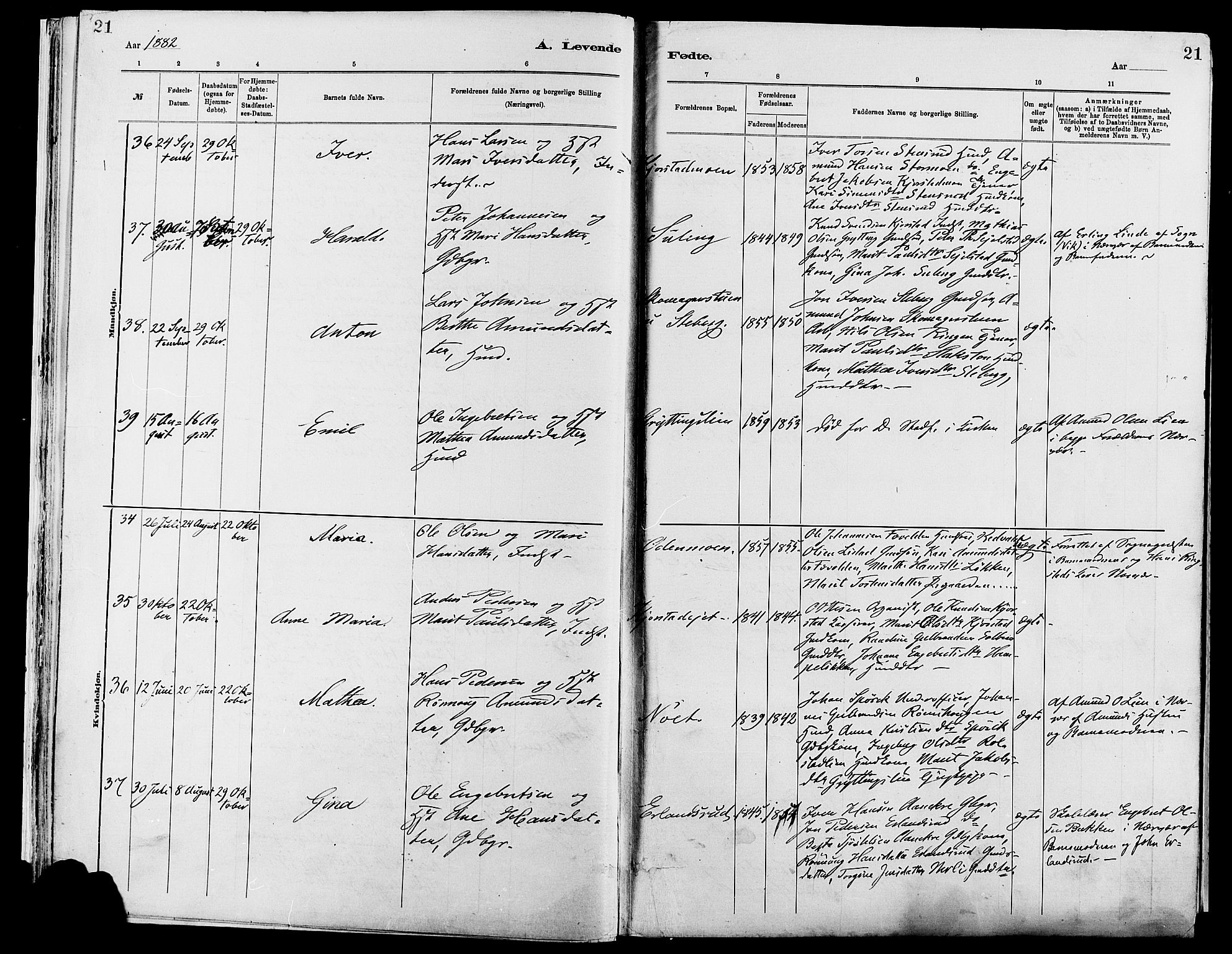 Sør-Fron prestekontor, AV/SAH-PREST-010/H/Ha/Haa/L0003: Parish register (official) no. 3, 1881-1897, p. 21