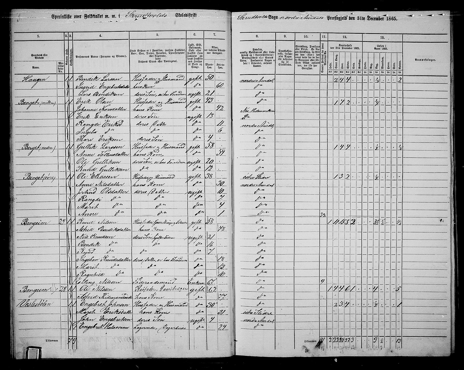 RA, 1865 census for Nord-Aurdal, 1865, p. 28