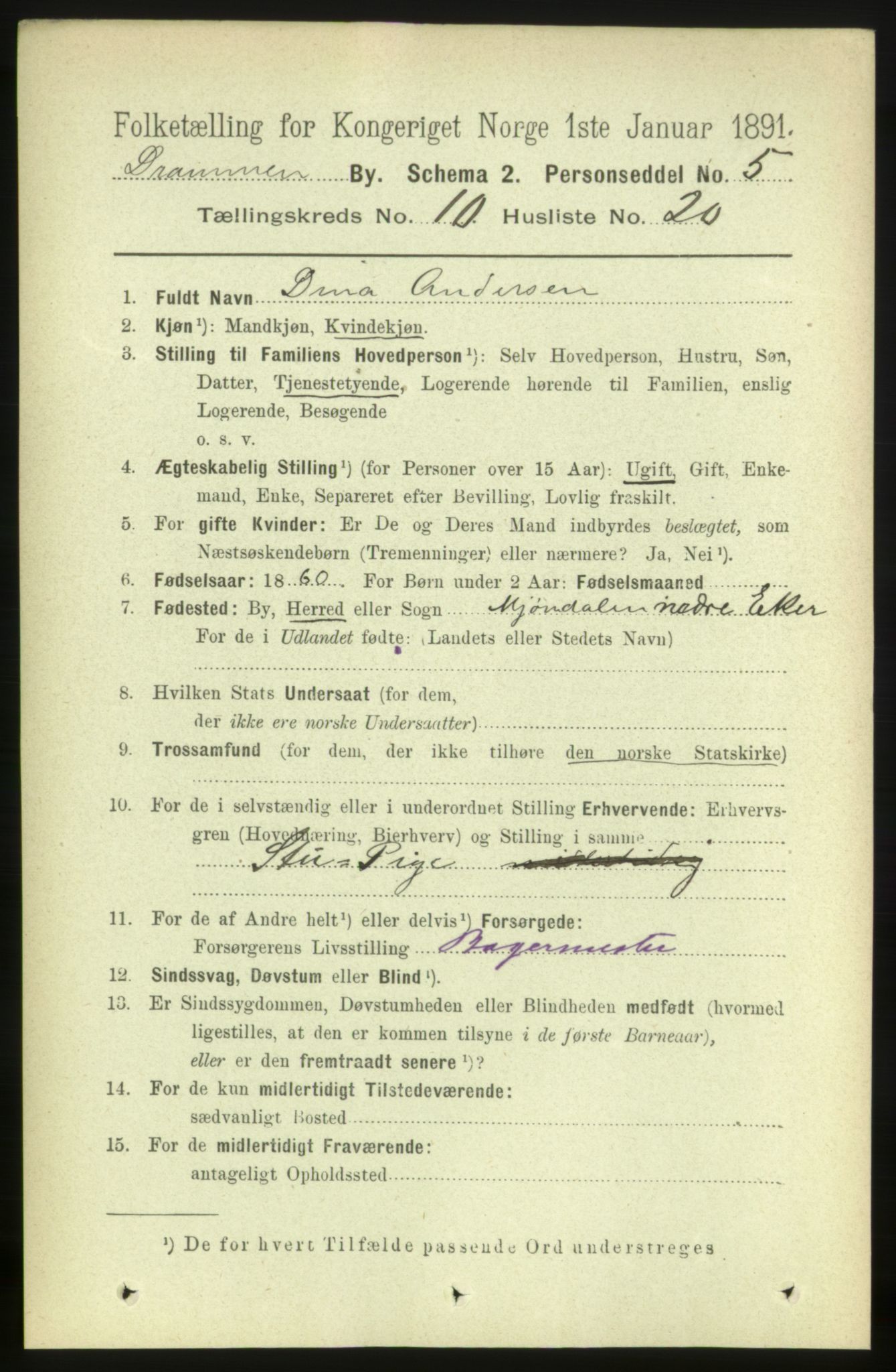 RA, 1891 census for 0602 Drammen, 1891, p. 8196