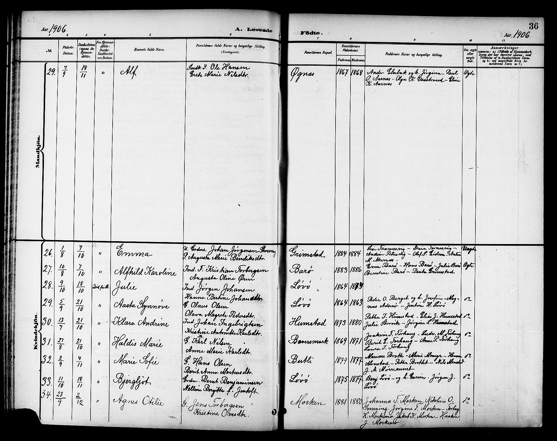 Ministerialprotokoller, klokkerbøker og fødselsregistre - Sør-Trøndelag, SAT/A-1456/655/L0688: Parish register (copy) no. 655C04, 1899-1922, p. 36
