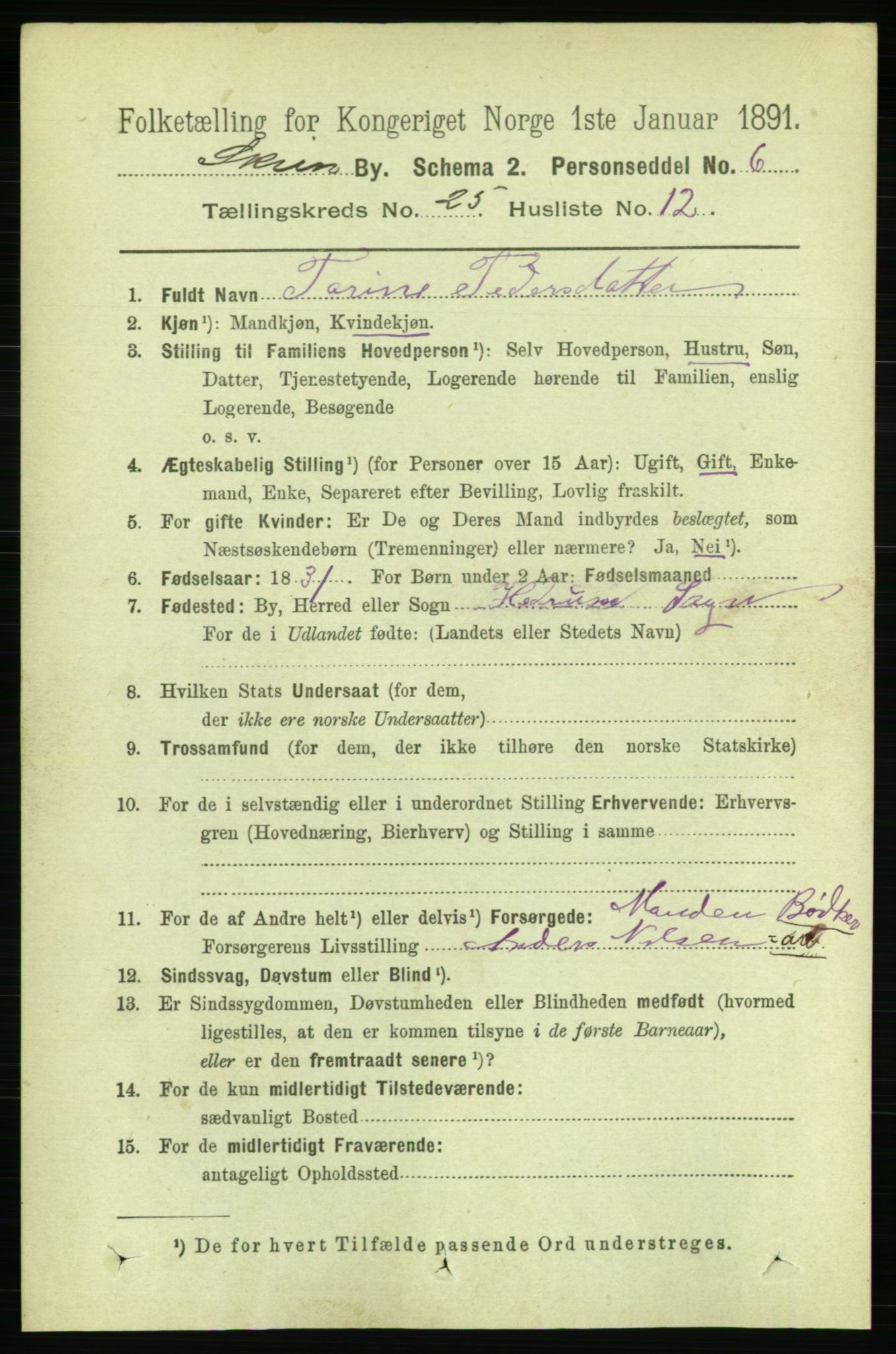 RA, 1891 census for 0806 Skien, 1891, p. 6123