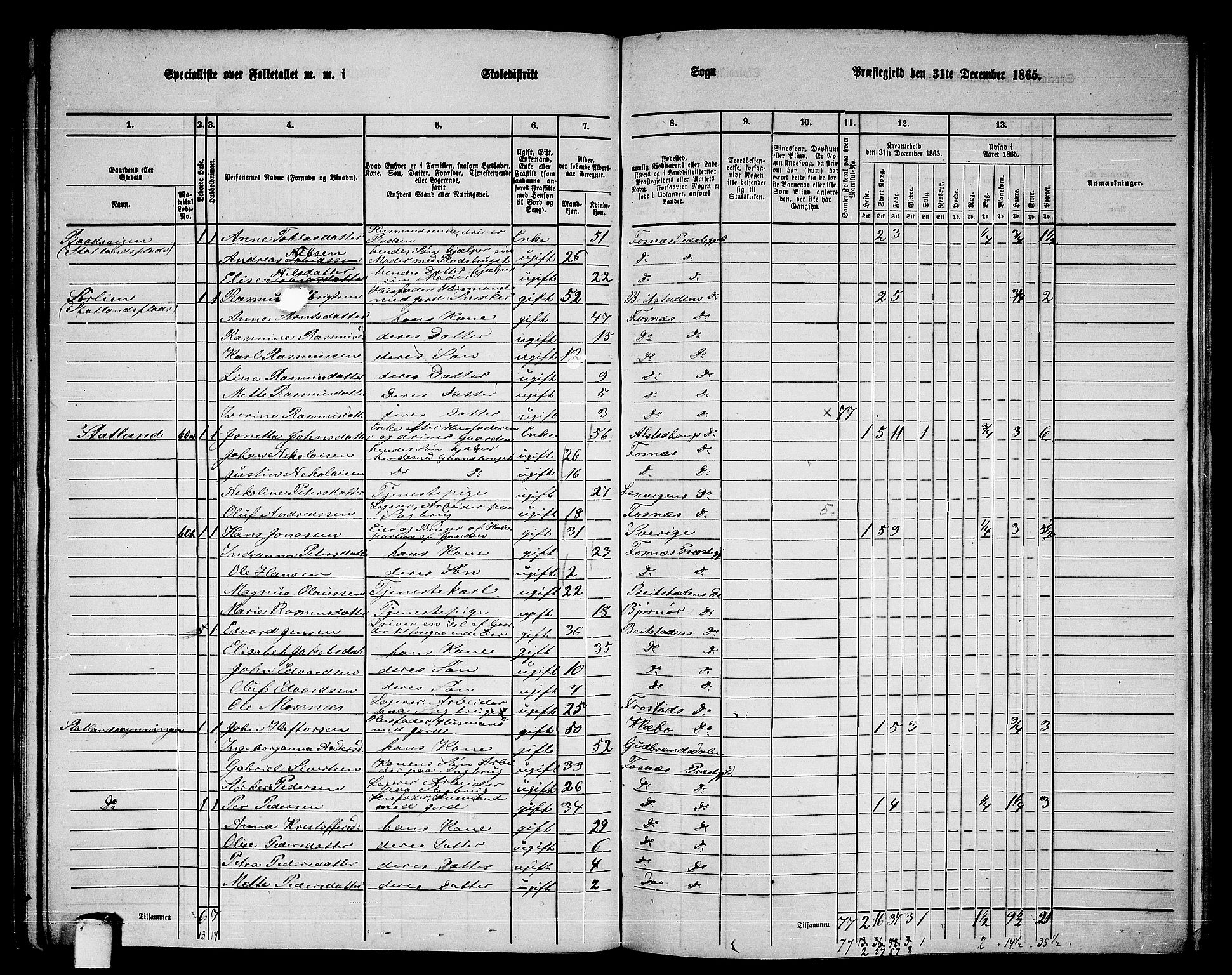 RA, 1865 census for Fosnes, 1865, p. 55