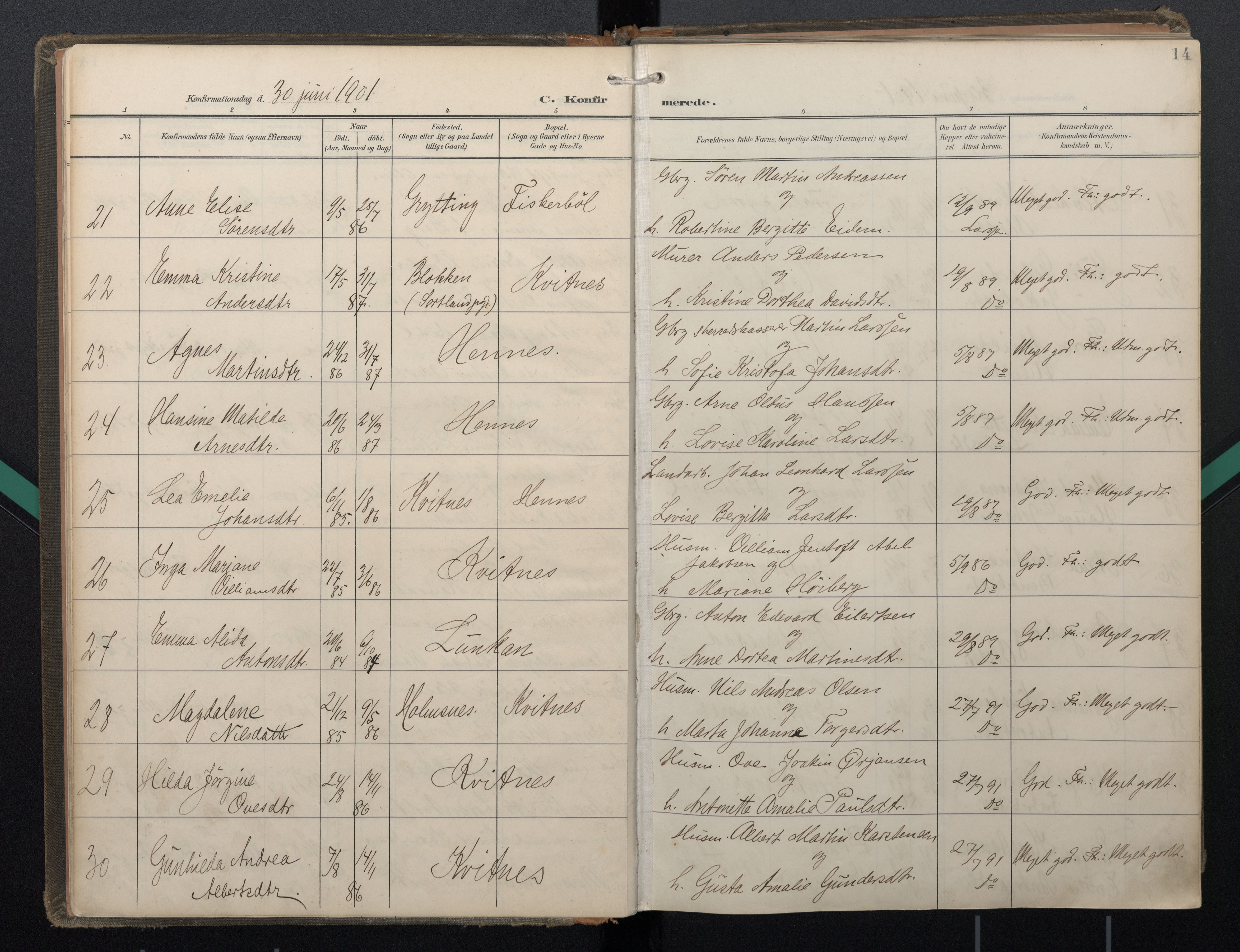 Ministerialprotokoller, klokkerbøker og fødselsregistre - Nordland, AV/SAT-A-1459/888/L1247: Parish register (official) no. 888A13, 1900-1911, p. 14