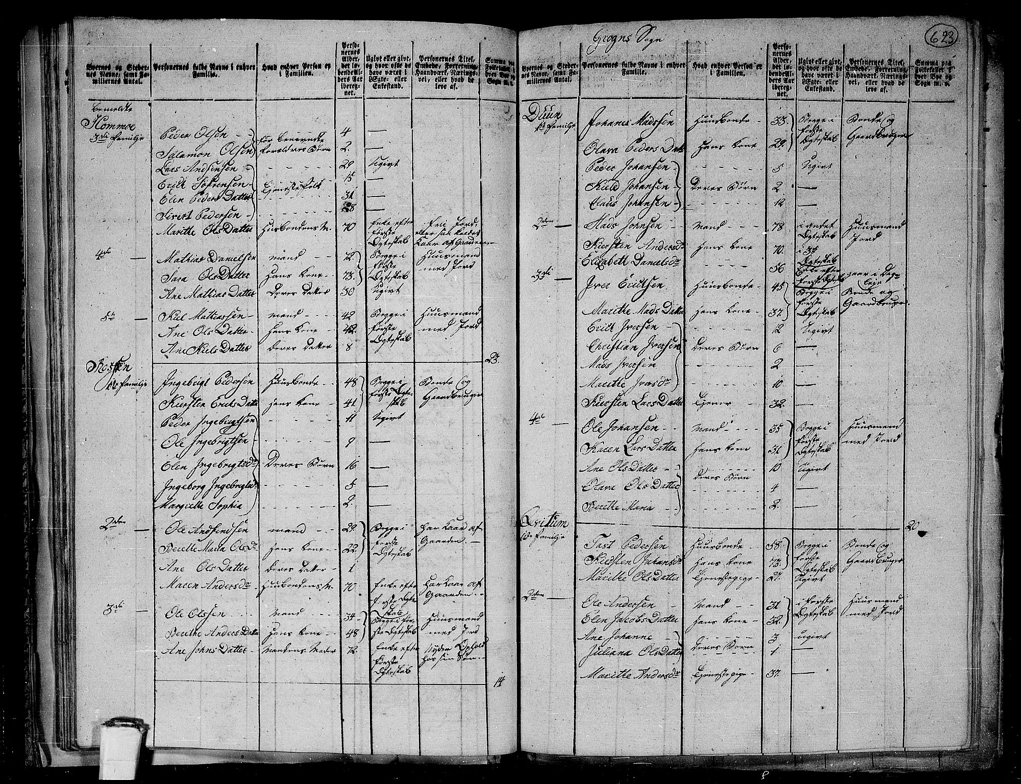 RA, 1801 census for 1744P Overhalla, 1801, p. 622b-623a