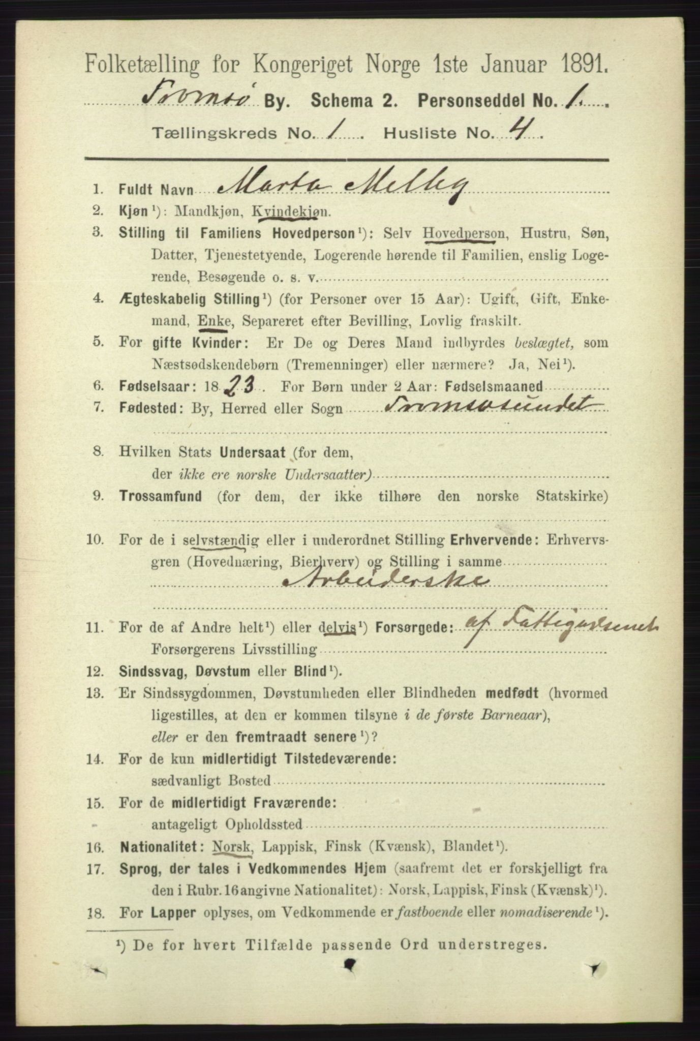 RA, 1891 census for 1902 Tromsø, 1891, p. 314