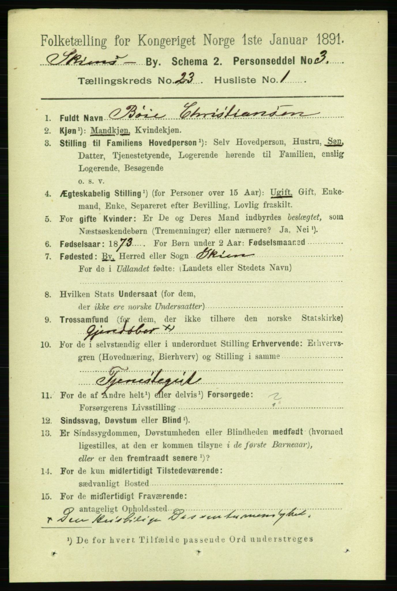 RA, 1891 census for 0806 Skien, 1891, p. 5817