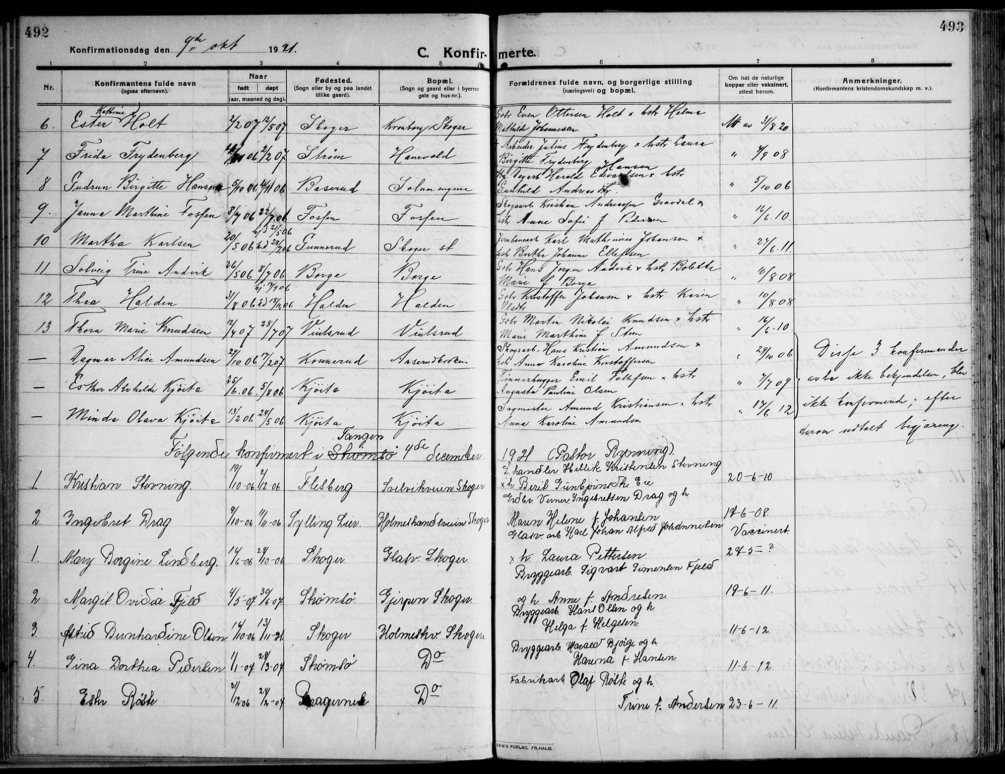 Skoger kirkebøker, AV/SAKO-A-59/F/Fa/L0007: Parish register (official) no. I 7, 1911-1936, p. 492-493