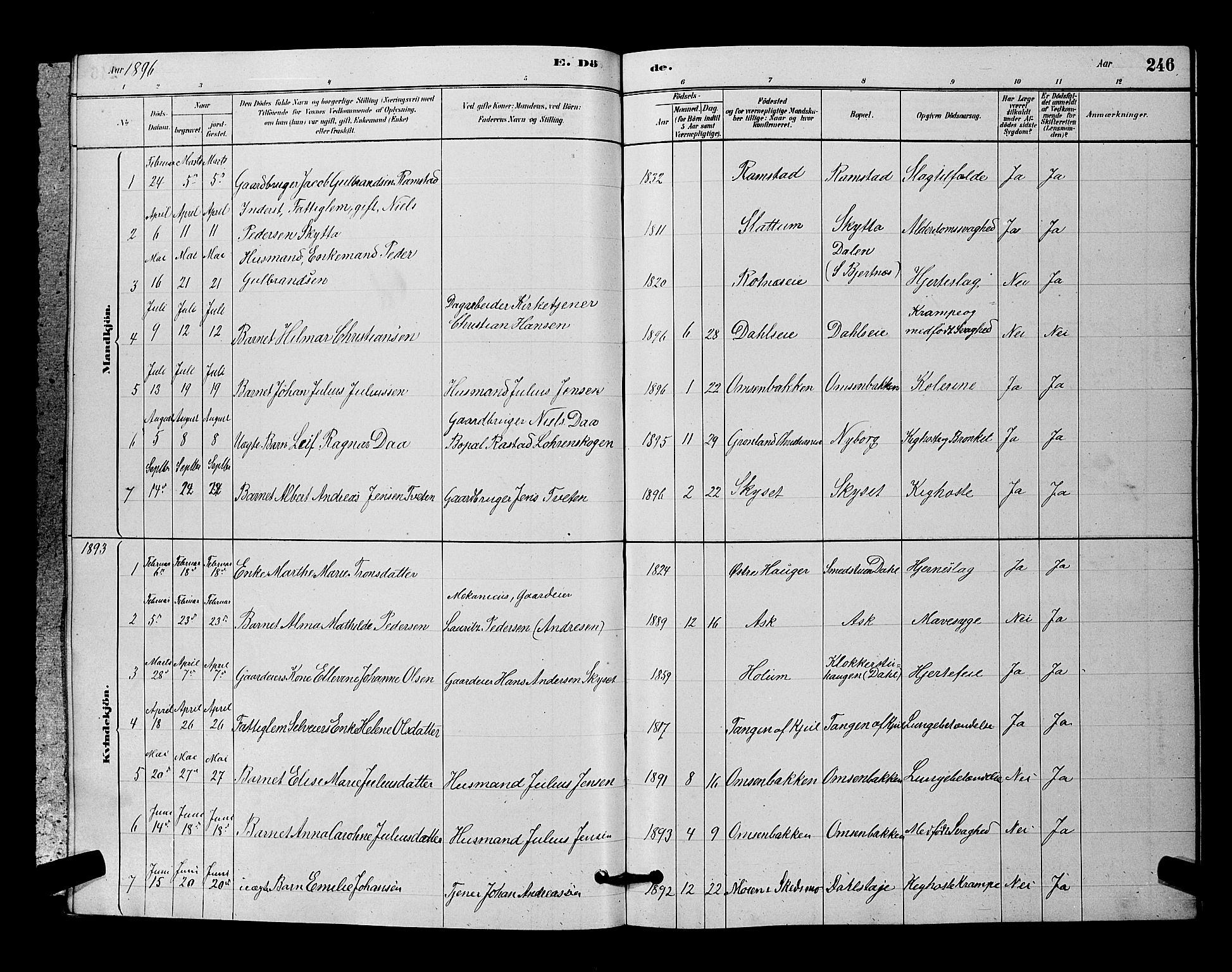 Nittedal prestekontor Kirkebøker, AV/SAO-A-10365a/G/Ga/L0002: Parish register (copy) no. I 2, 1879-1901, p. 246