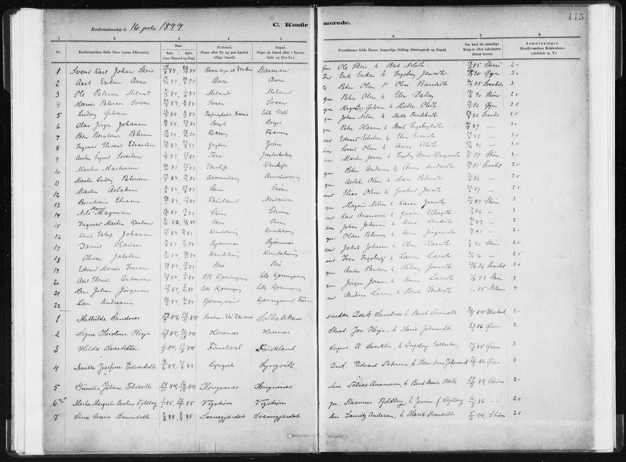 Ministerialprotokoller, klokkerbøker og fødselsregistre - Sør-Trøndelag, SAT/A-1456/634/L0533: Parish register (official) no. 634A09, 1882-1901, p. 115
