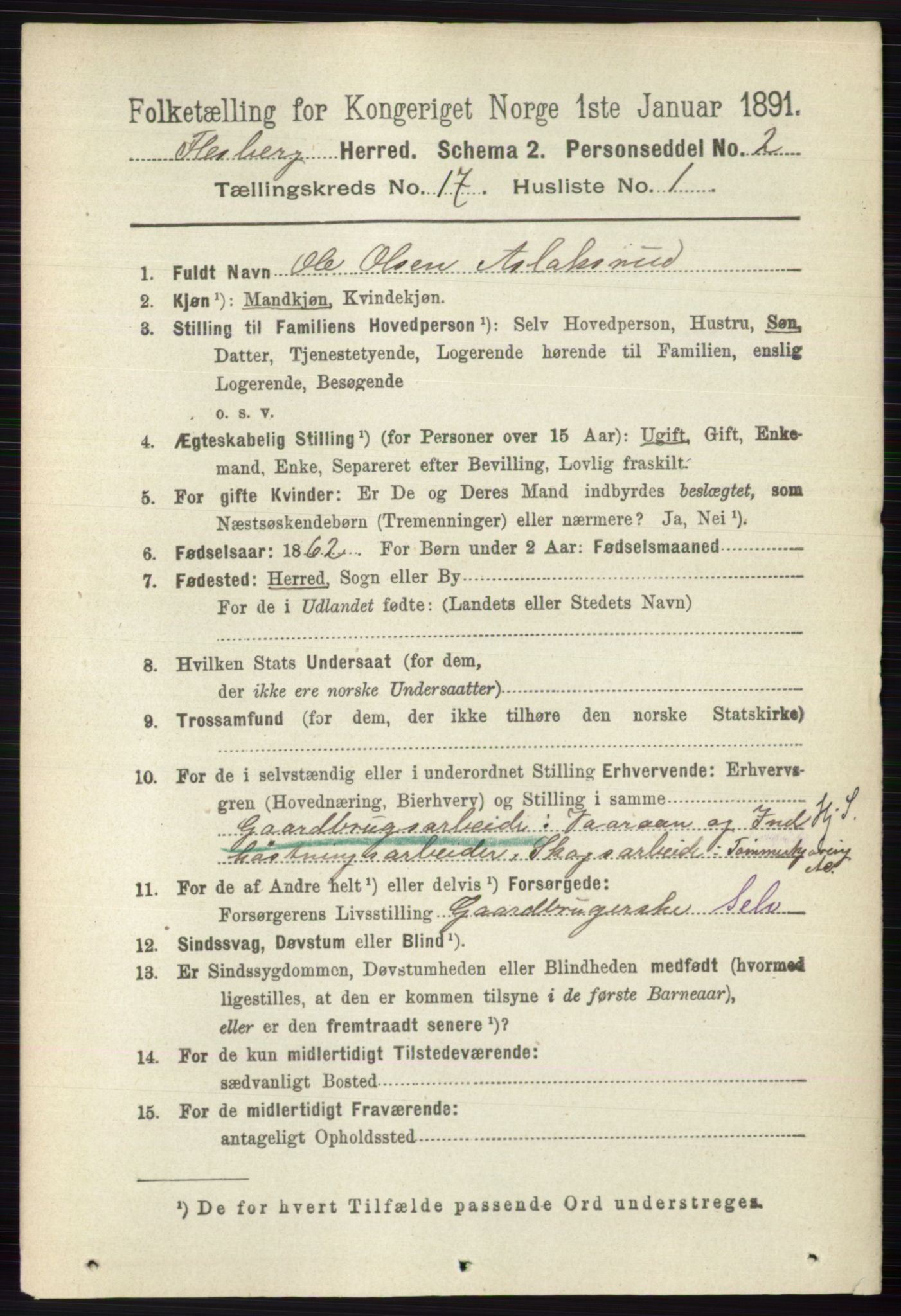 RA, 1891 census for 0631 Flesberg, 1891, p. 2988