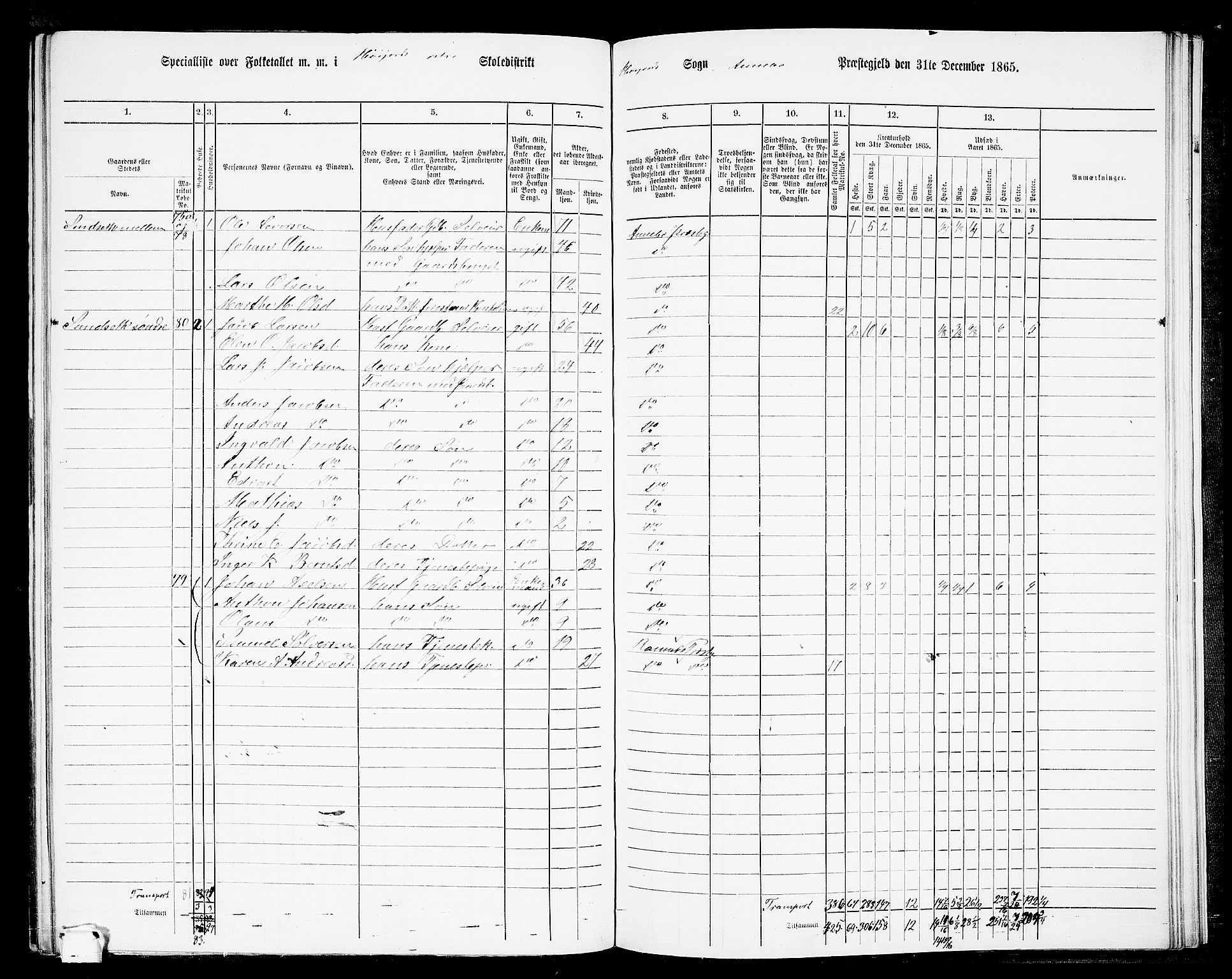 RA, 1865 census for Andebu, 1865, p. 80