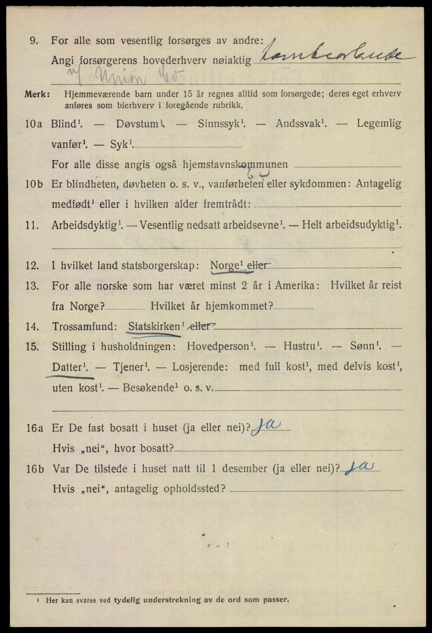 SAKO, 1920 census for Skien, 1920, p. 17299