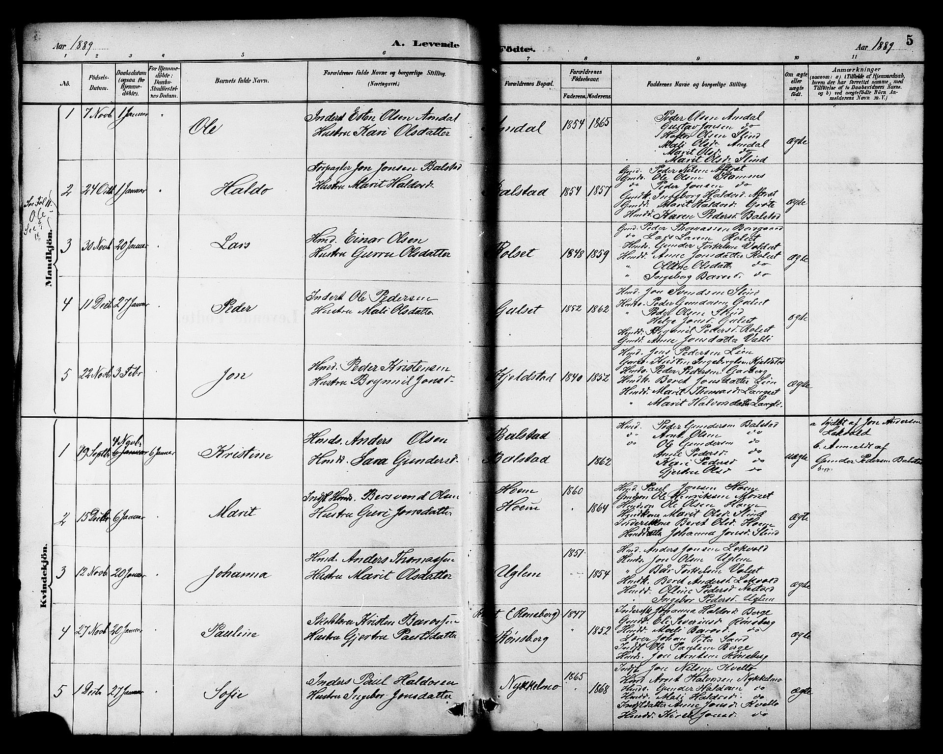 Ministerialprotokoller, klokkerbøker og fødselsregistre - Sør-Trøndelag, AV/SAT-A-1456/695/L1157: Parish register (copy) no. 695C08, 1889-1913, p. 5