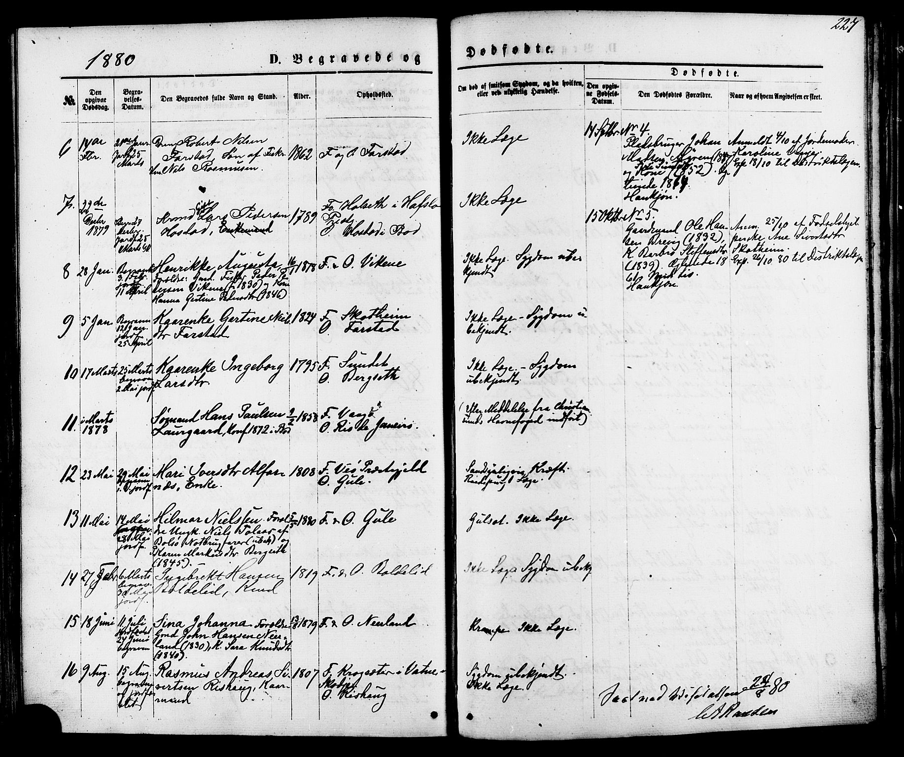 Ministerialprotokoller, klokkerbøker og fødselsregistre - Møre og Romsdal, AV/SAT-A-1454/566/L0768: Parish register (official) no. 566A07, 1869-1881, p. 227