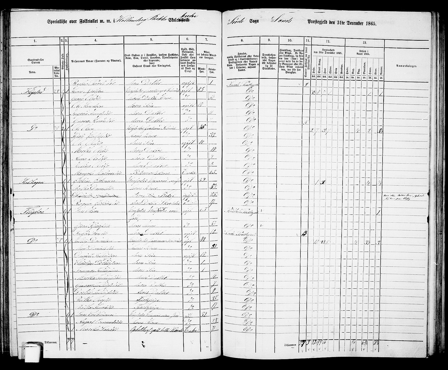 RA, 1865 census for Sand, 1865, p. 109