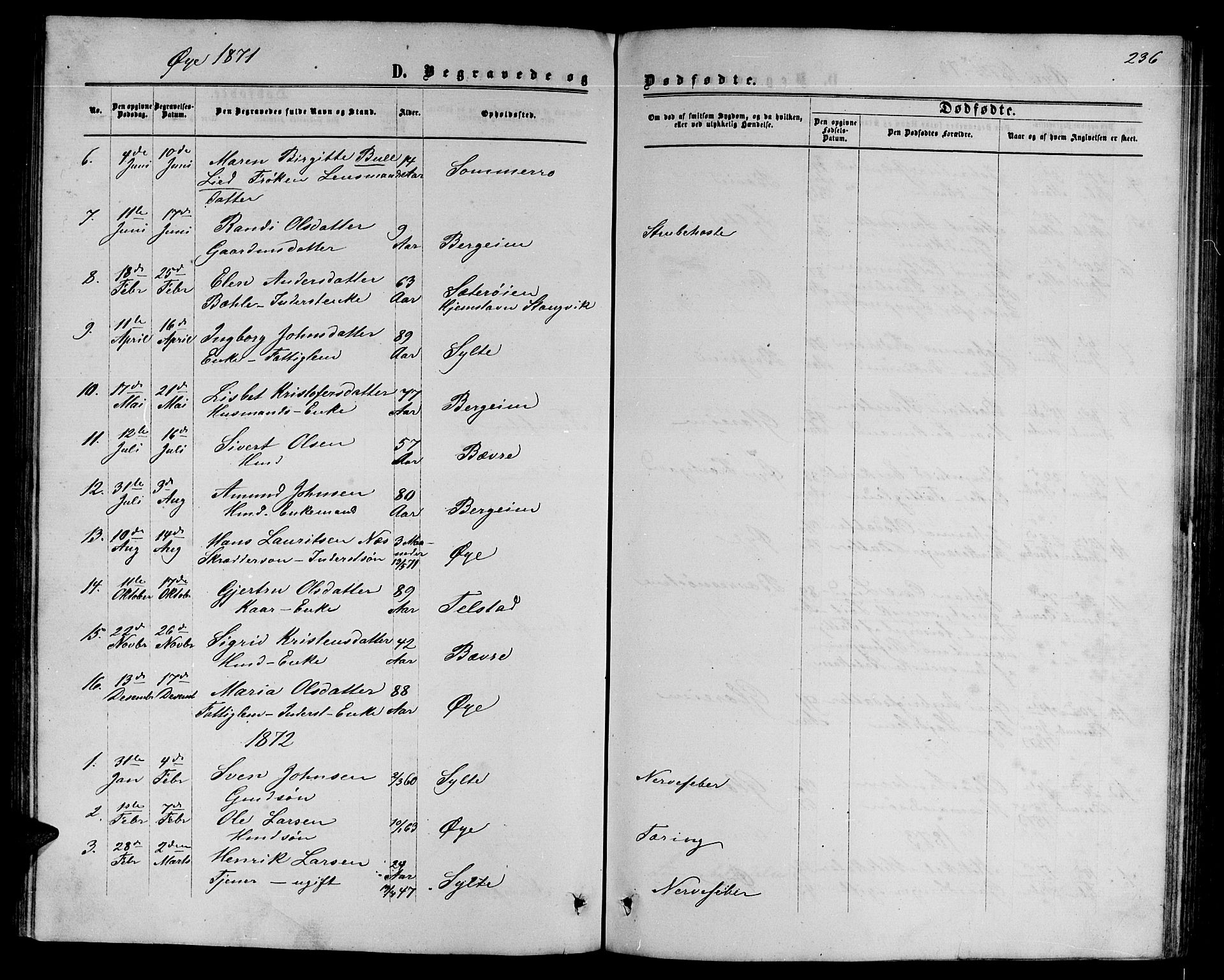 Ministerialprotokoller, klokkerbøker og fødselsregistre - Møre og Romsdal, SAT/A-1454/595/L1051: Parish register (copy) no. 595C03, 1866-1891, p. 236