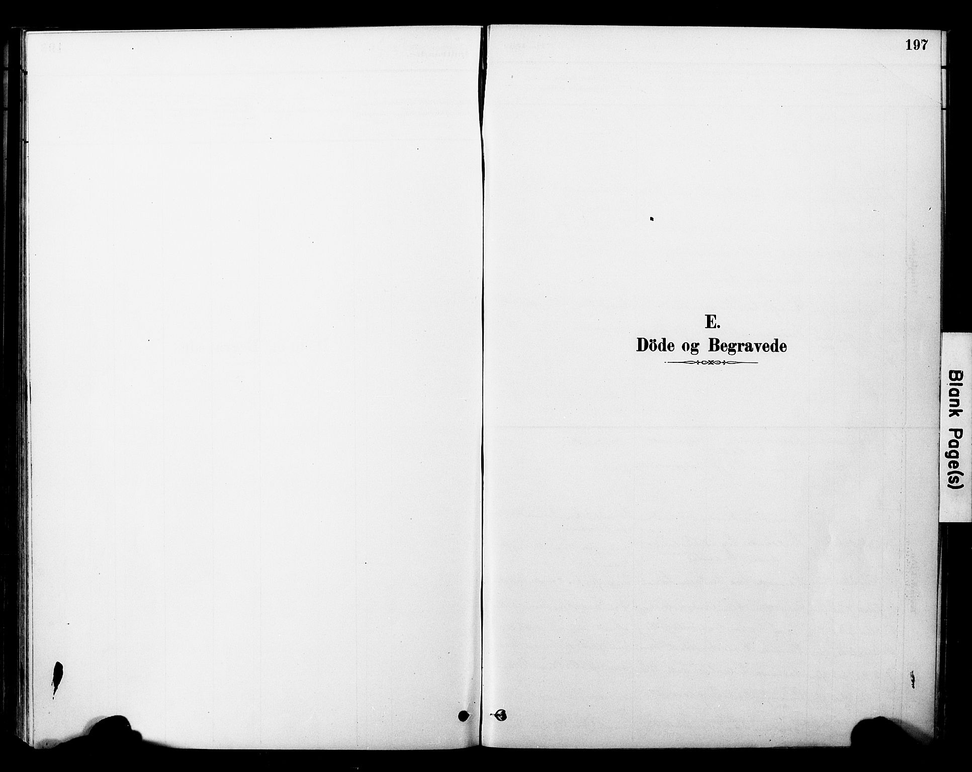 Ministerialprotokoller, klokkerbøker og fødselsregistre - Nord-Trøndelag, SAT/A-1458/757/L0505: Parish register (official) no. 757A01, 1882-1904, p. 197