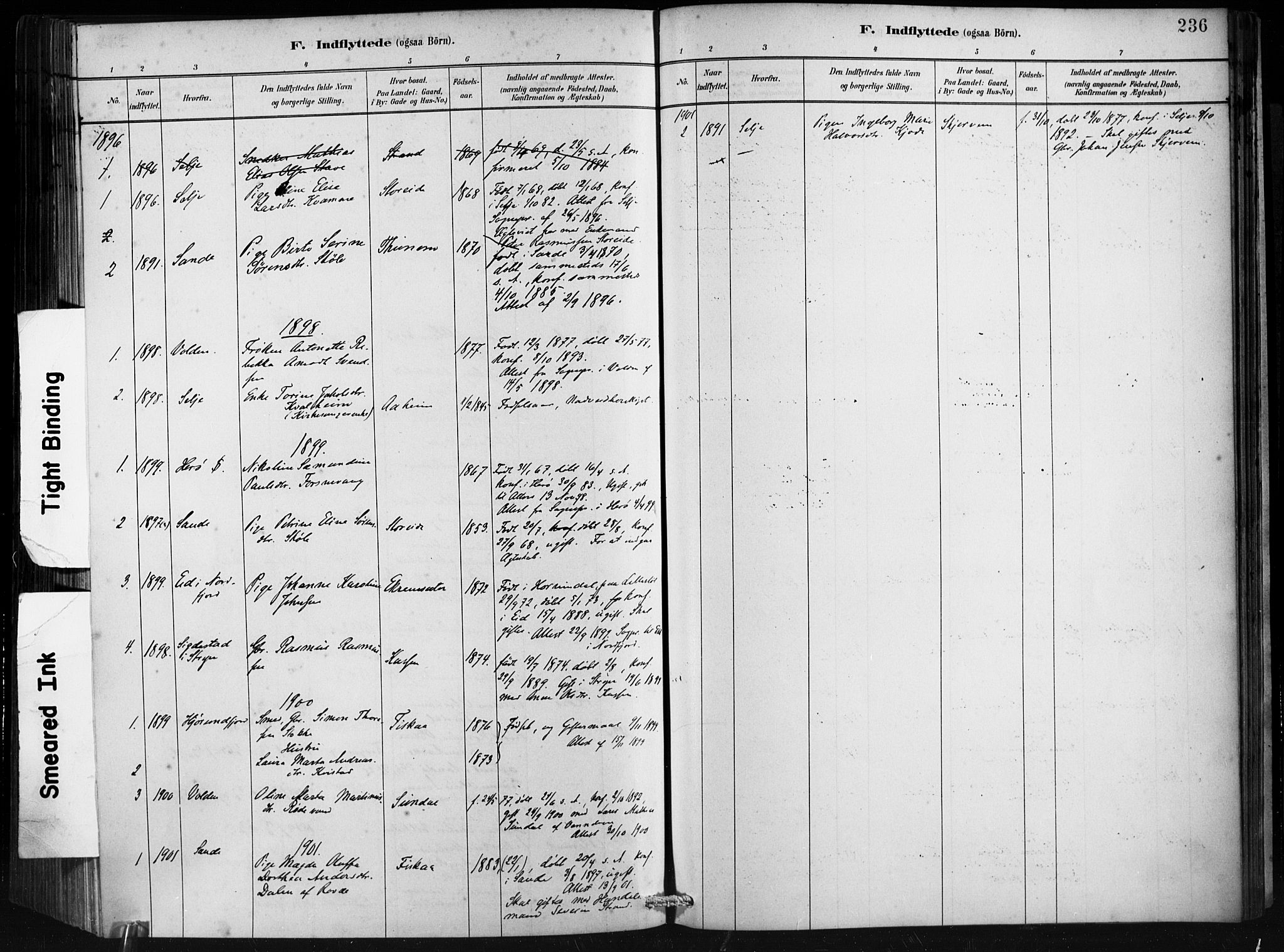 Ministerialprotokoller, klokkerbøker og fødselsregistre - Møre og Romsdal, AV/SAT-A-1454/501/L0008: Parish register (official) no. 501A08, 1885-1901, p. 236