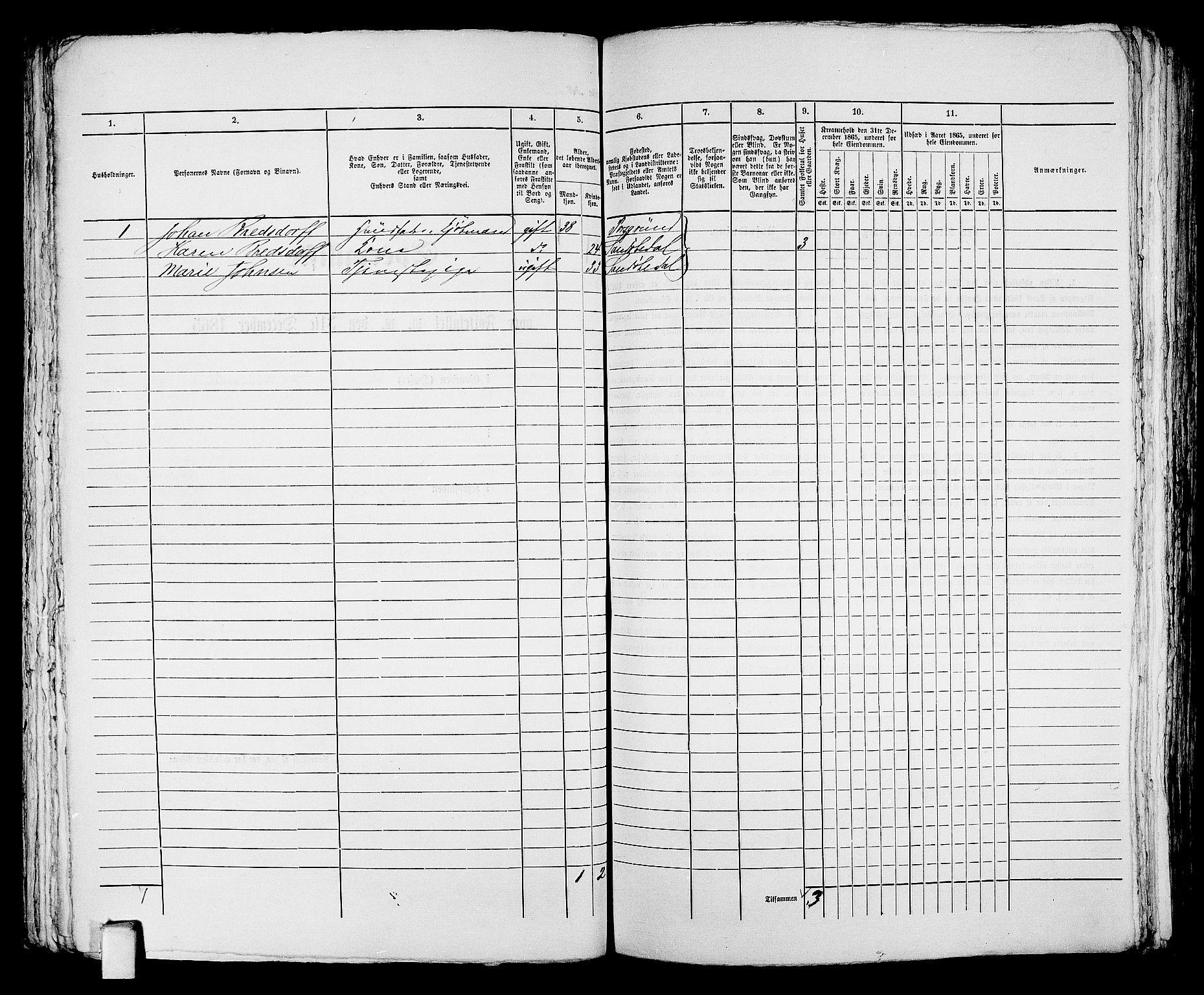 RA, 1865 census for Kragerø/Kragerø, 1865, p. 246