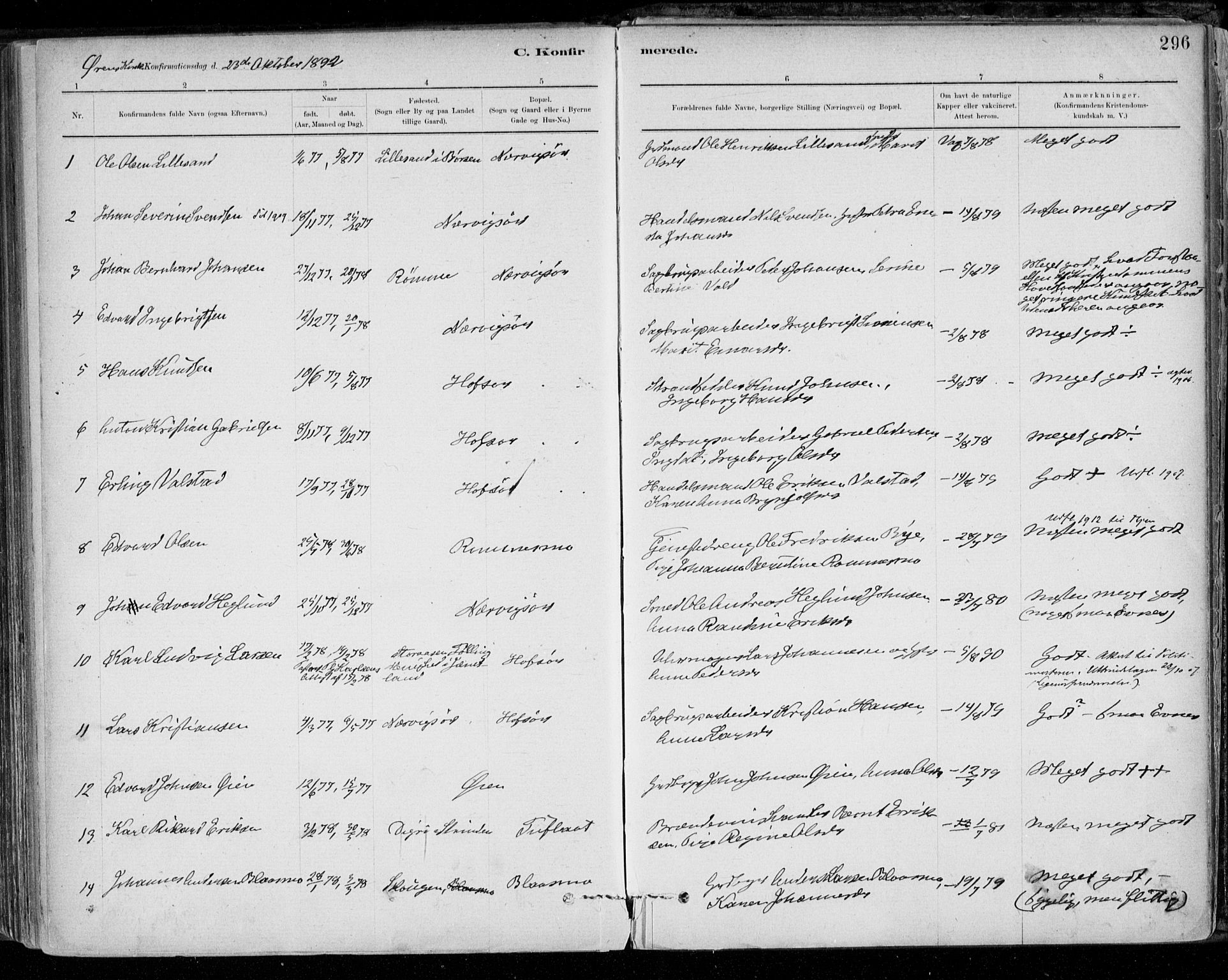 Ministerialprotokoller, klokkerbøker og fødselsregistre - Sør-Trøndelag, AV/SAT-A-1456/668/L0809: Parish register (official) no. 668A09, 1881-1895, p. 296