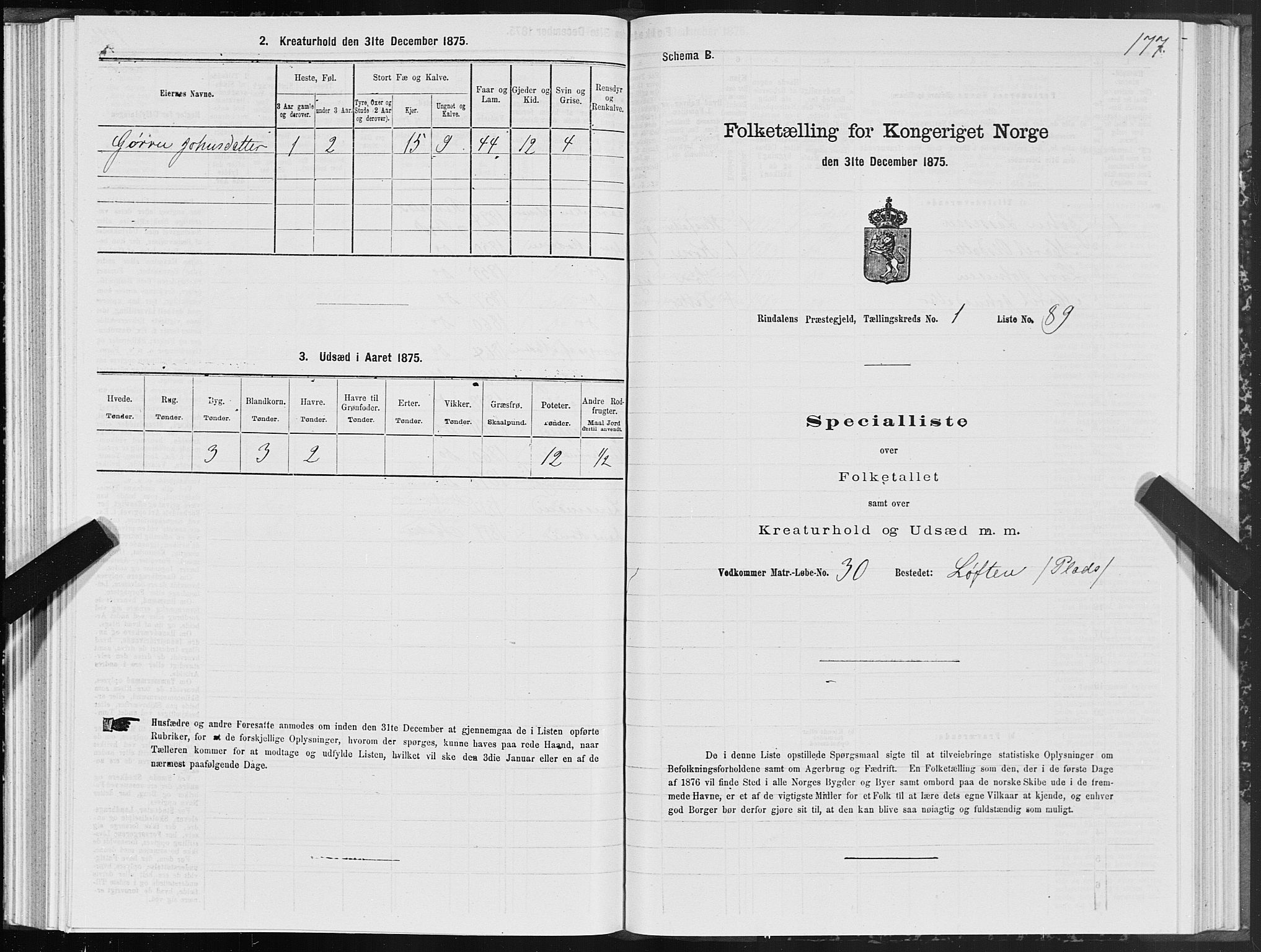 SAT, 1875 census for 1567P Rindal, 1875, p. 1177