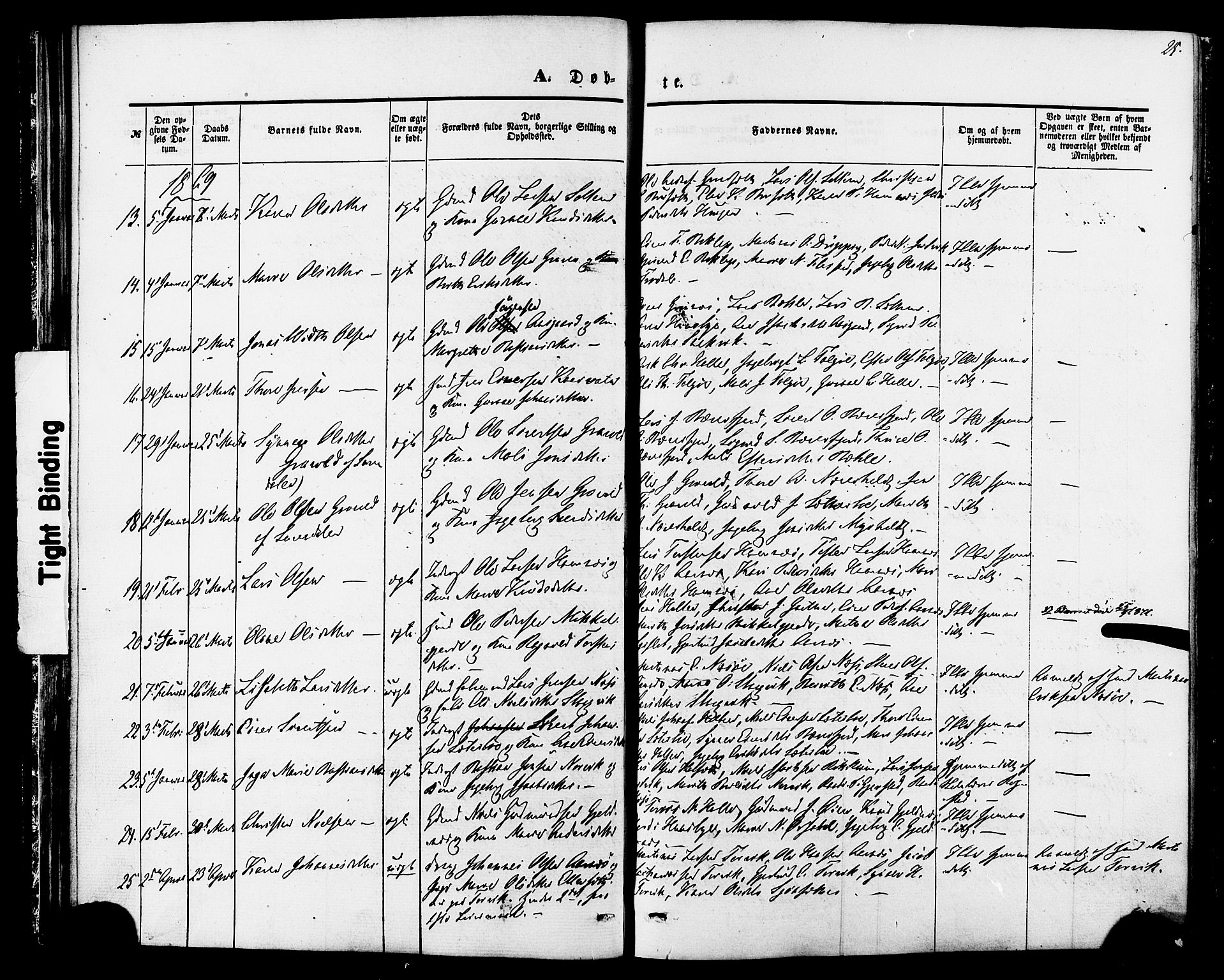 Ministerialprotokoller, klokkerbøker og fødselsregistre - Møre og Romsdal, AV/SAT-A-1454/592/L1027: Parish register (official) no. 592A05, 1865-1878, p. 25