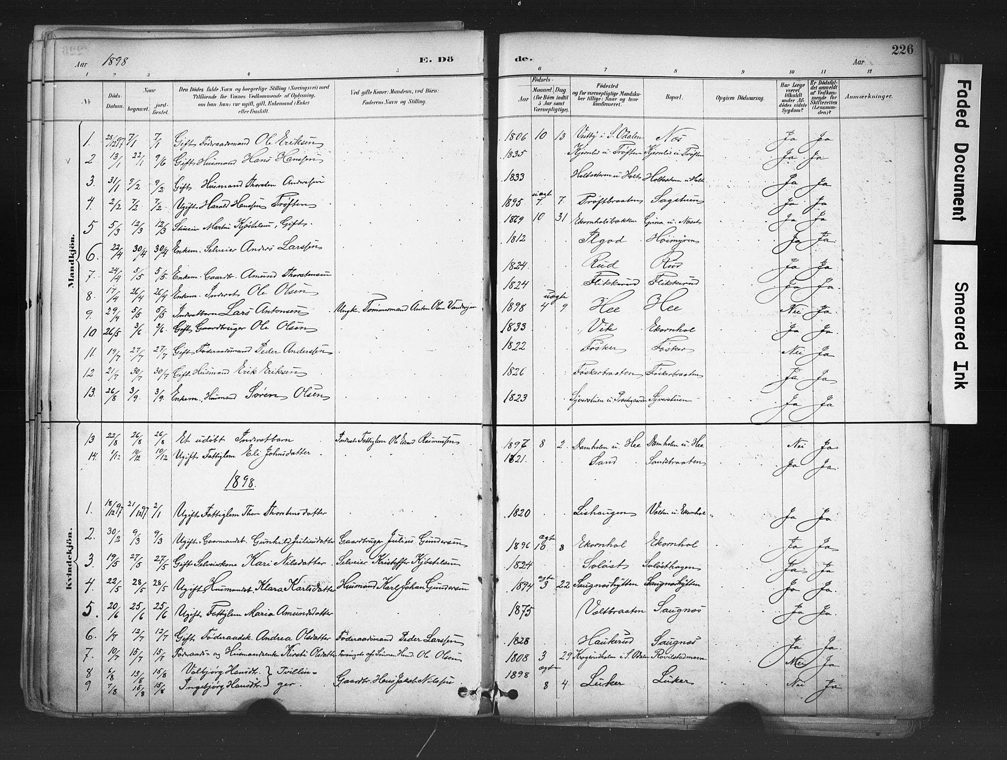 Nord-Odal prestekontor, AV/SAH-PREST-032/H/Ha/Haa/L0006: Parish register (official) no. 6, 1886-1901, p. 226