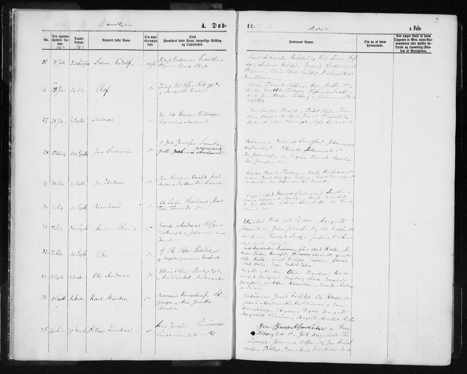 Ministerialprotokoller, klokkerbøker og fødselsregistre - Nord-Trøndelag, SAT/A-1458/735/L0345: Parish register (official) no. 735A08 /1, 1863-1872, p. 3