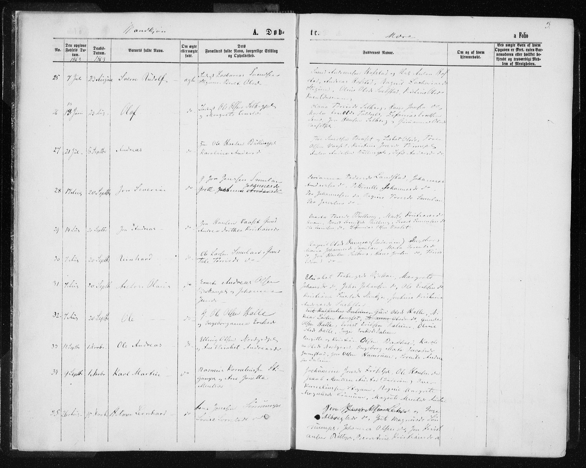 Ministerialprotokoller, klokkerbøker og fødselsregistre - Nord-Trøndelag, AV/SAT-A-1458/735/L0345: Parish register (official) no. 735A08 /1, 1863-1872, p. 3