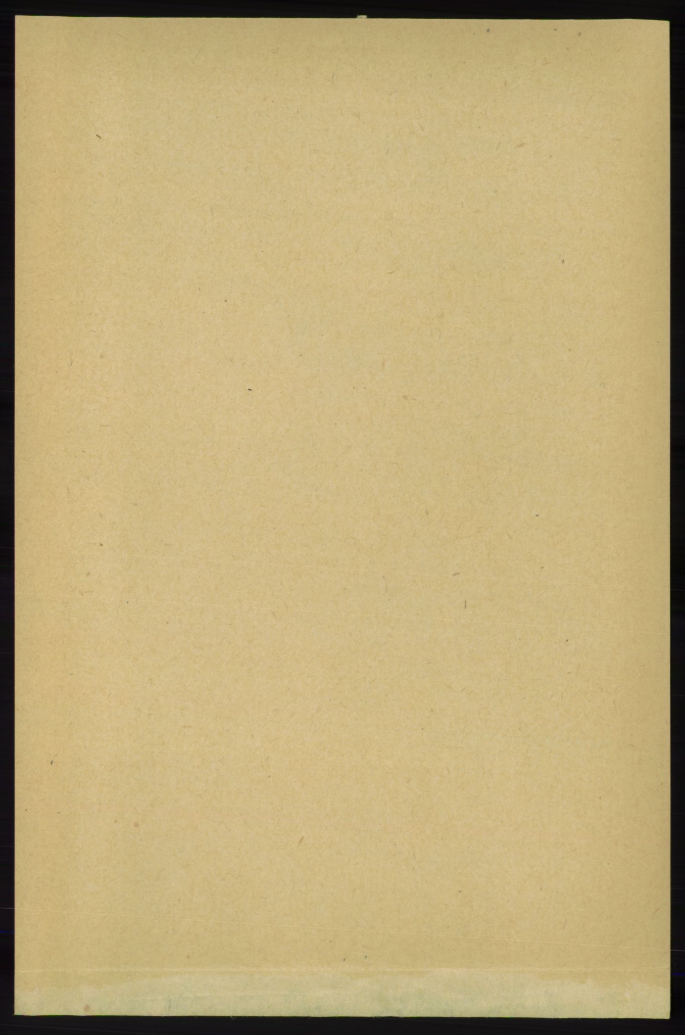 RA, 1891 census for 1138 Jelsa, 1891, p. 1544