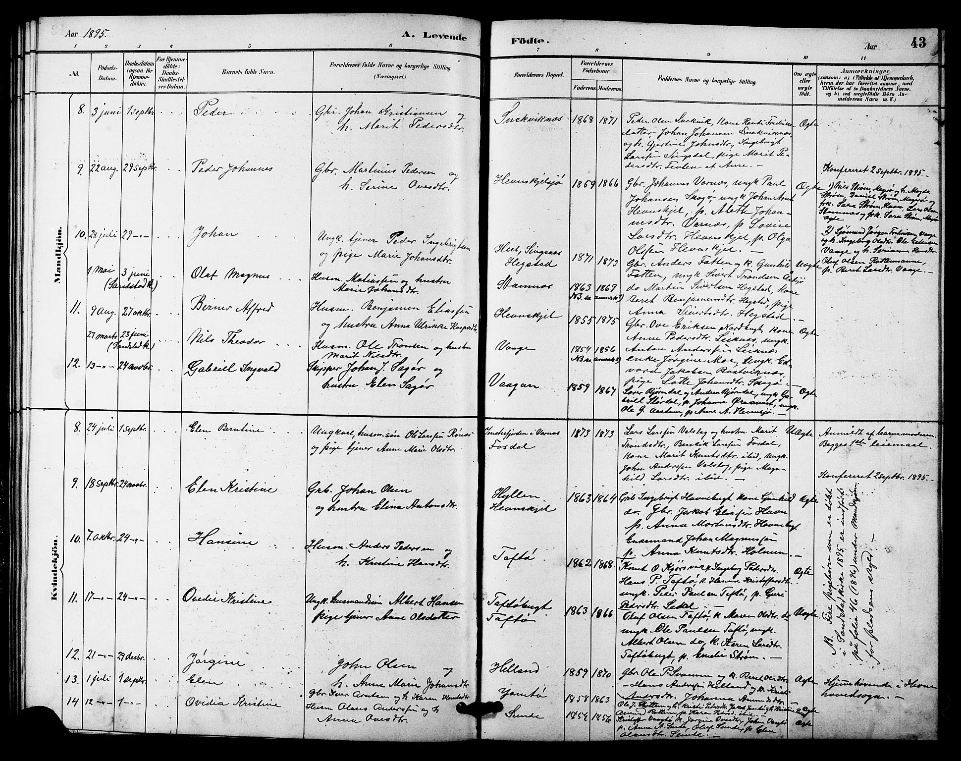 Ministerialprotokoller, klokkerbøker og fødselsregistre - Sør-Trøndelag, AV/SAT-A-1456/633/L0519: Parish register (copy) no. 633C01, 1884-1905, p. 43