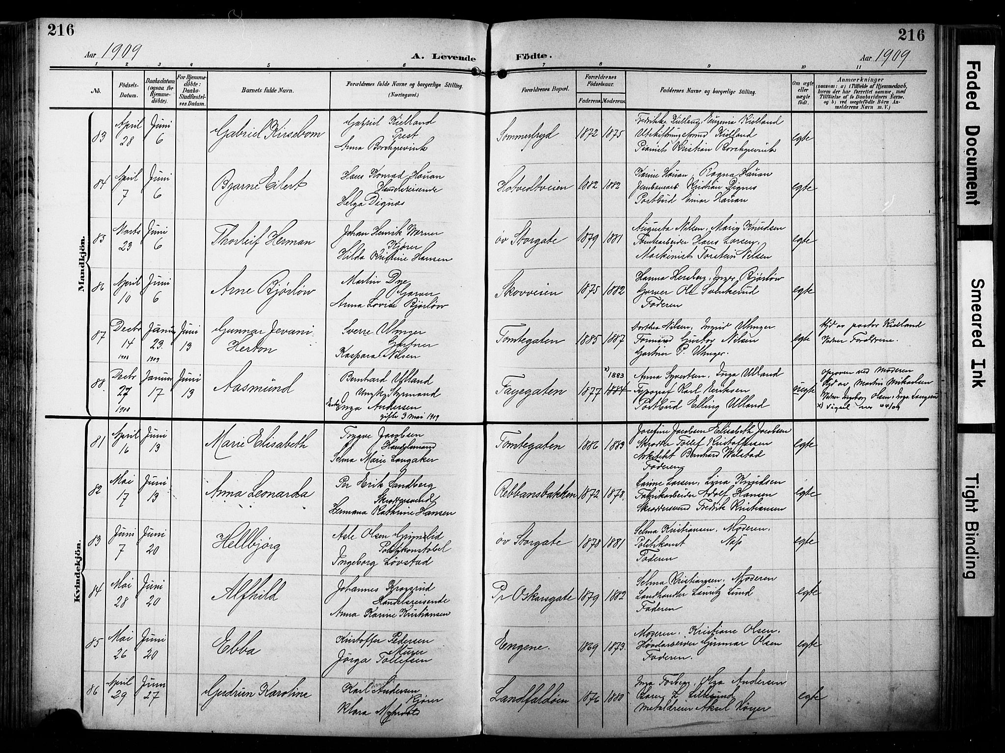 Bragernes kirkebøker, SAKO/A-6/F/Fb/L0009: Parish register (official) no. II 9, 1902-1911, p. 216
