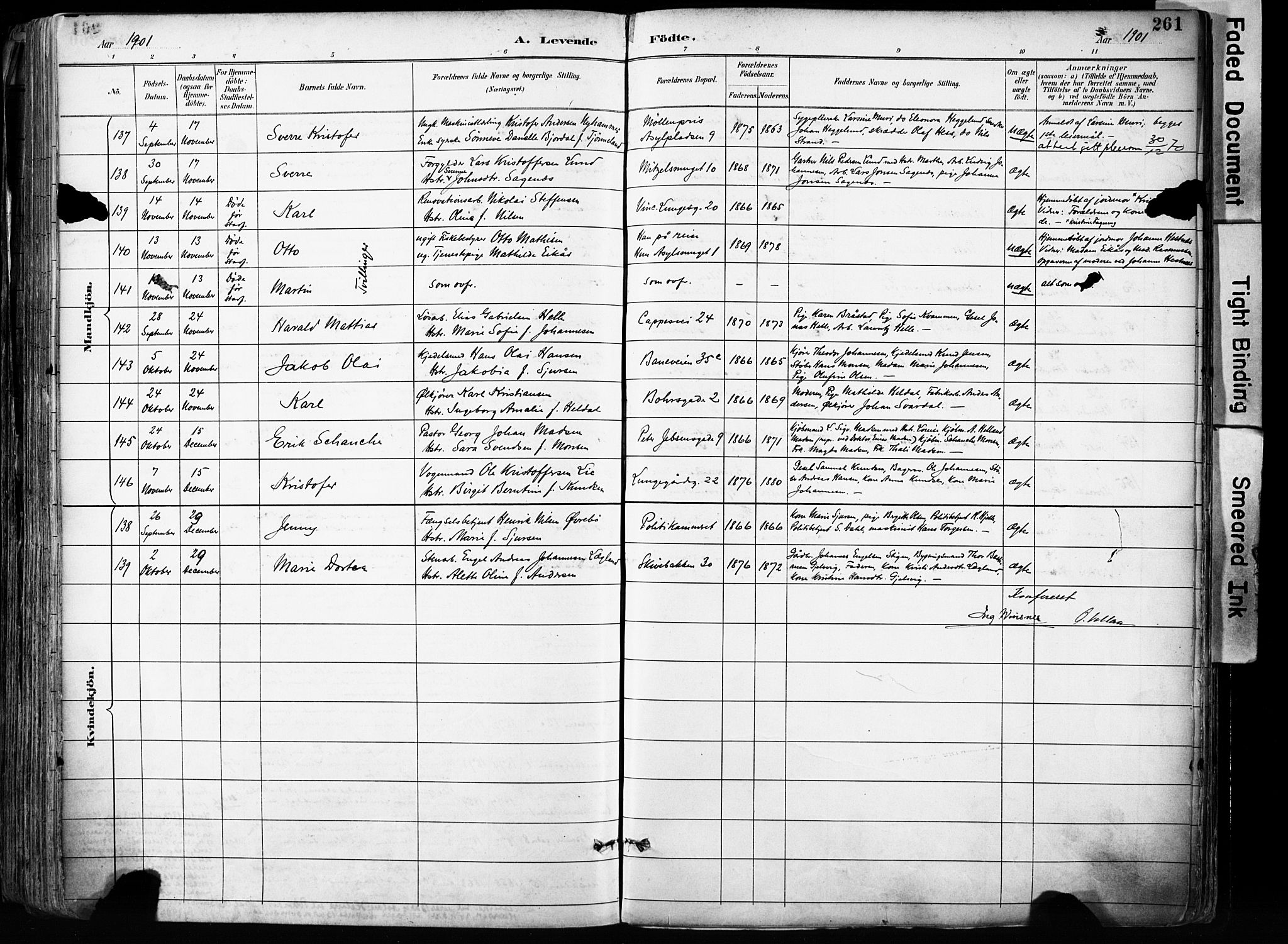 Domkirken sokneprestembete, AV/SAB-A-74801/H/Haa/L0024: Parish register (official) no. B 7, 1888-1903, p. 261