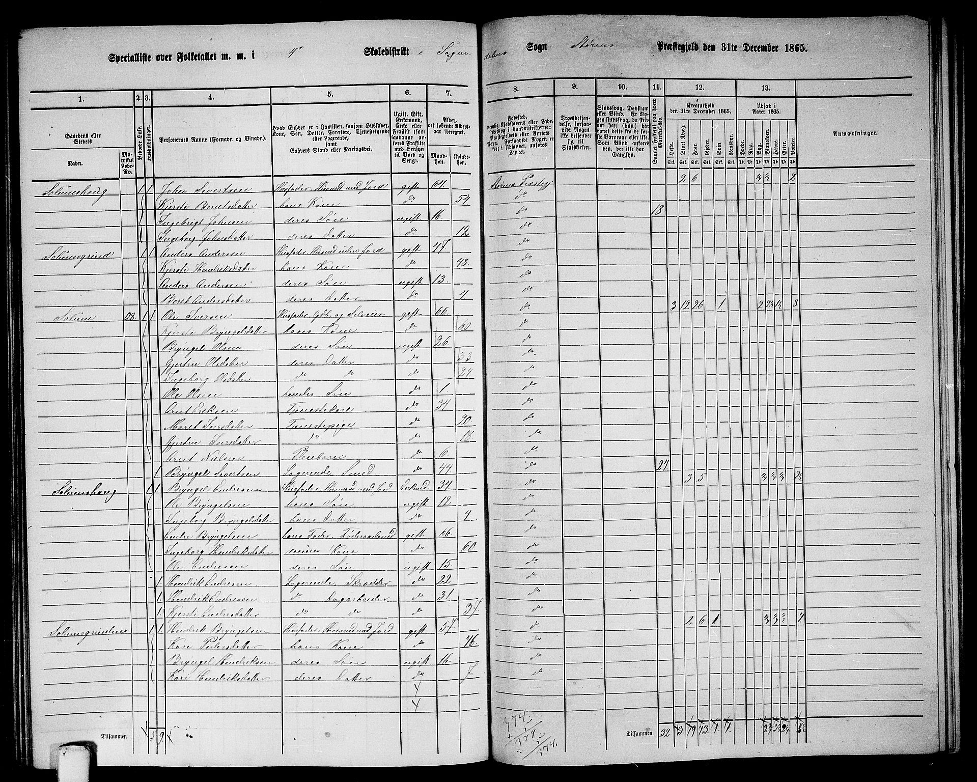 RA, 1865 census for Støren, 1865, p. 278