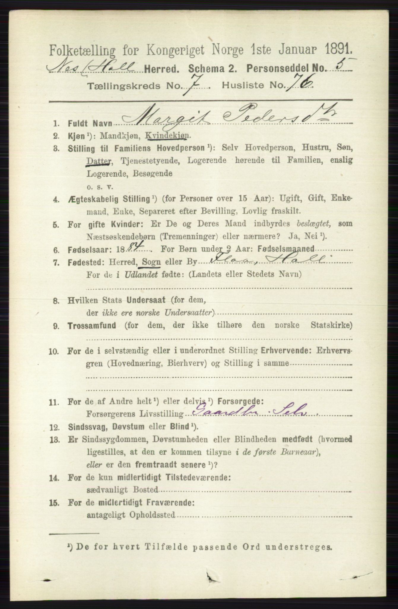 RA, 1891 census for 0616 Nes, 1891, p. 4038