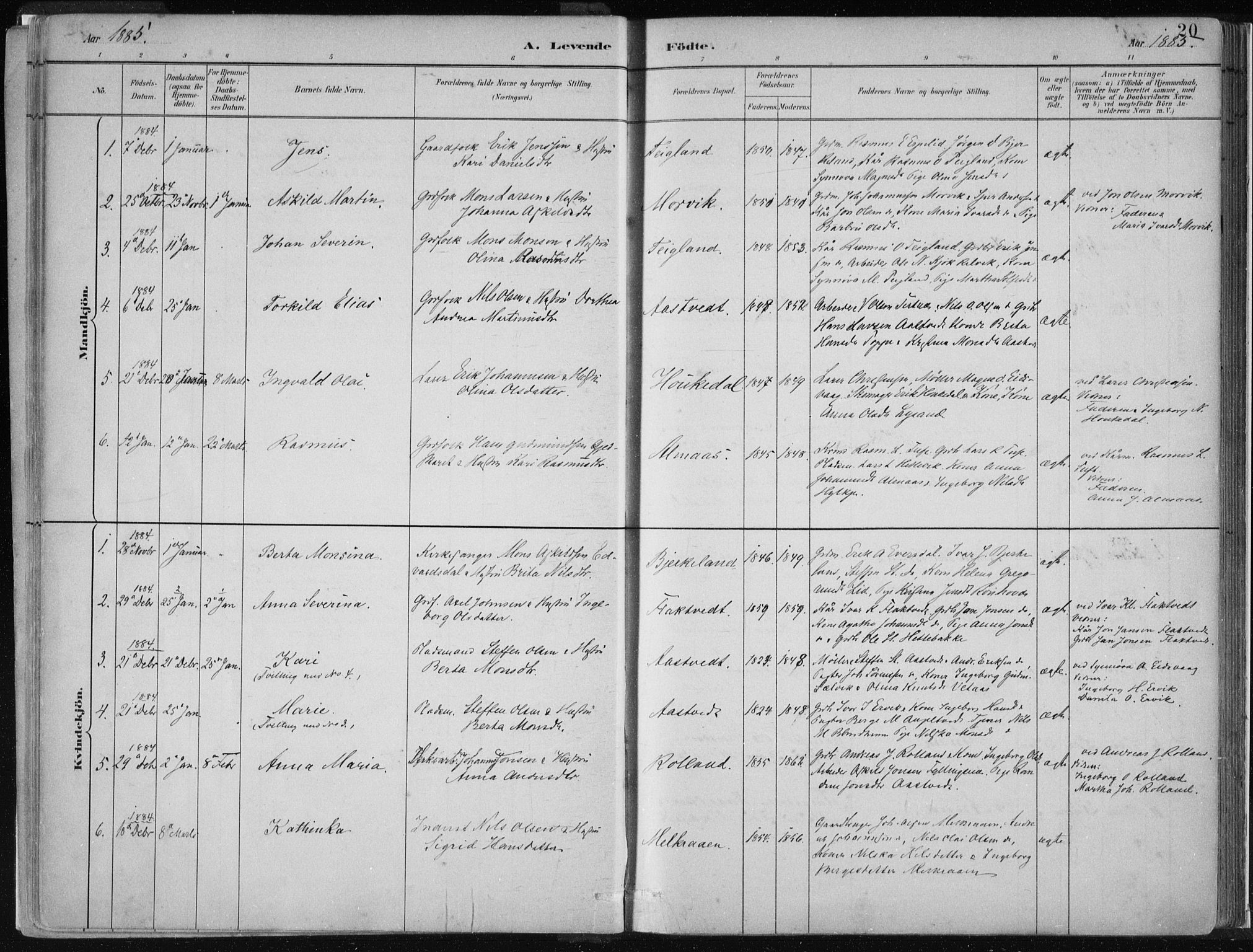 Hamre sokneprestembete, SAB/A-75501/H/Ha/Haa/Haad/L0001: Parish register (official) no. D  1, 1882-1906, p. 20