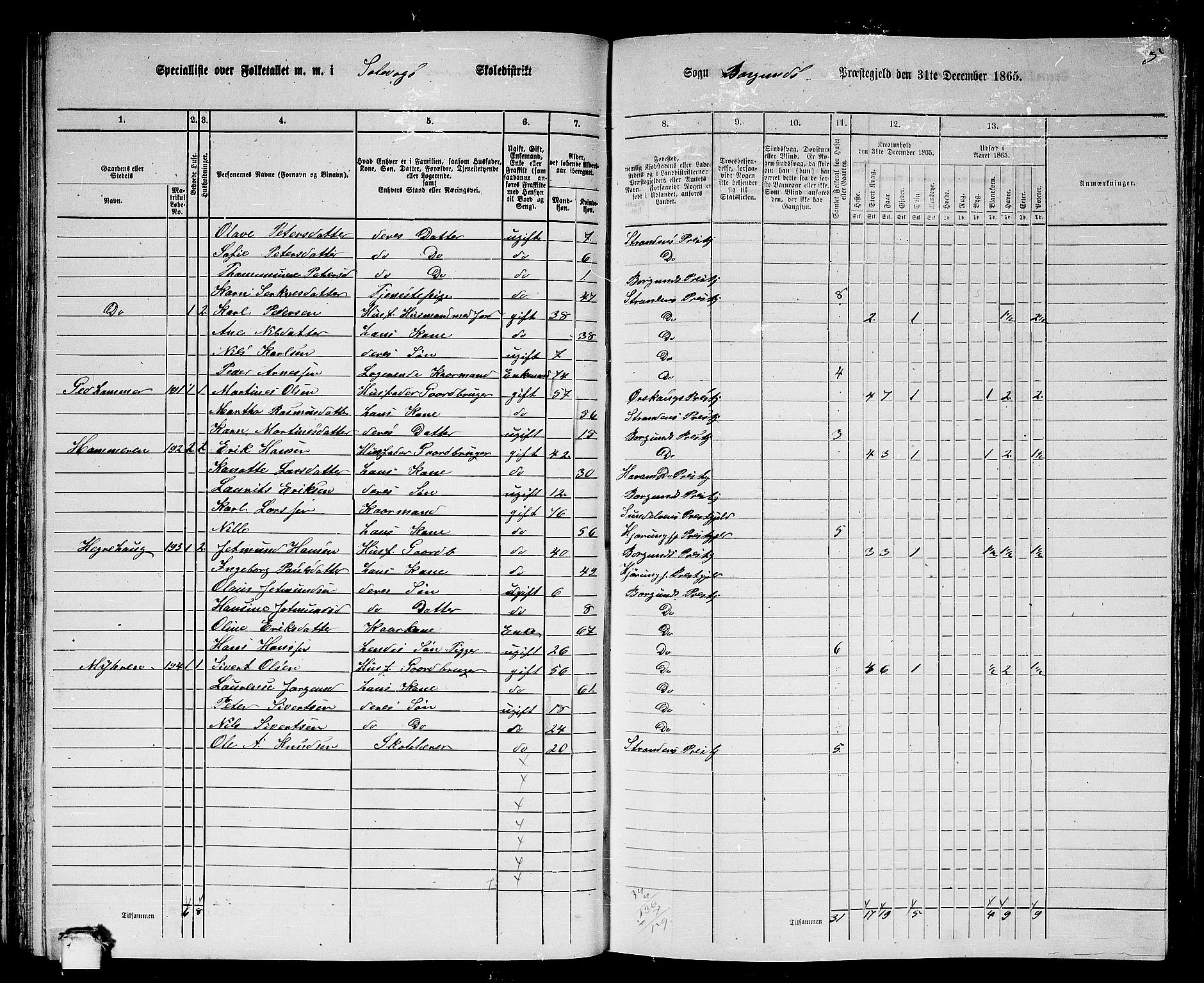 RA, 1865 census for Borgund, 1865, p. 100